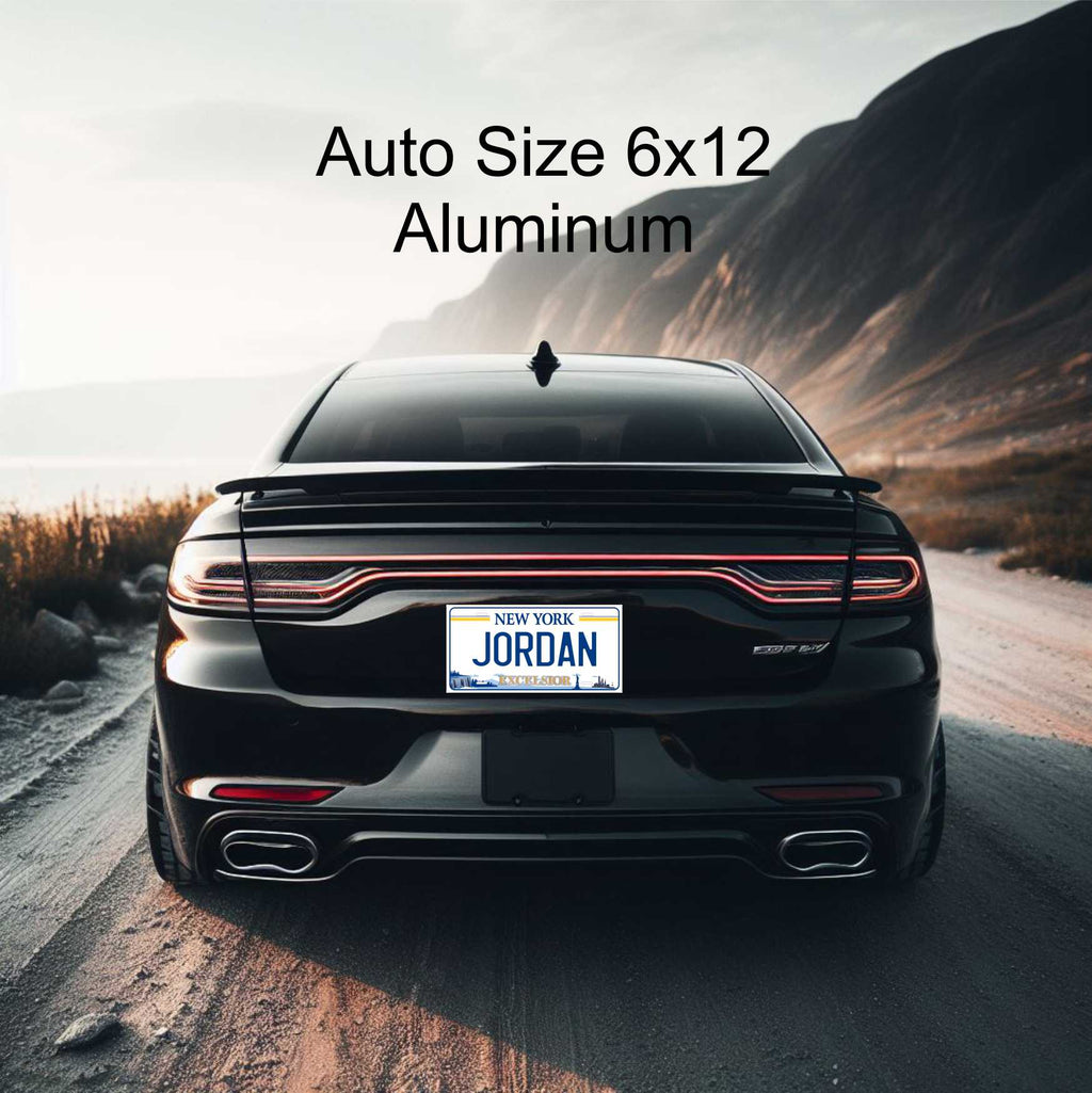 Alabama black and White Heart of Dixie License Plate Custom Novelty Fun Car Bike Motorcycle