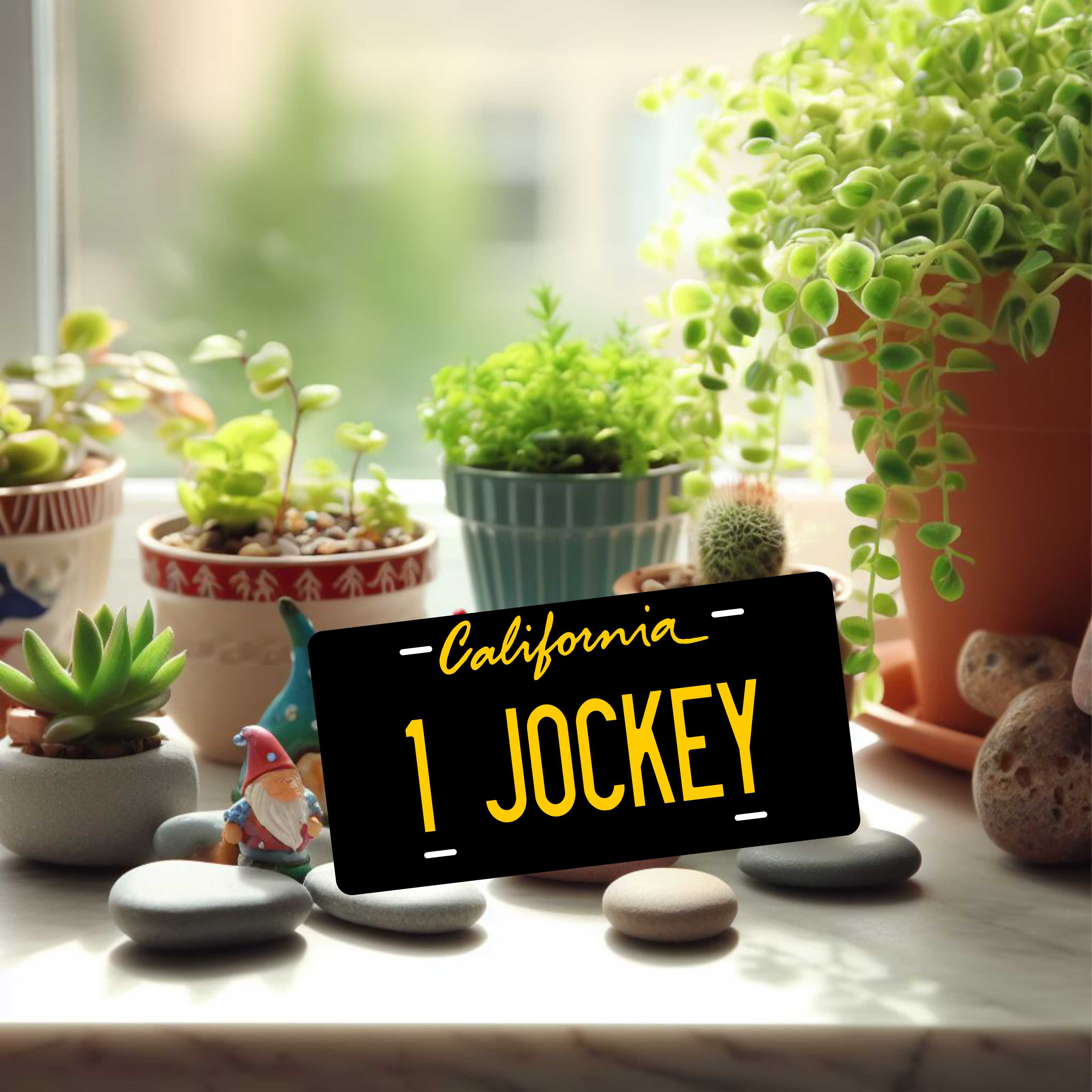 Alabama black and White Heart of Dixie License Plate Custom Novelty Fun Car Bike Motorcycle