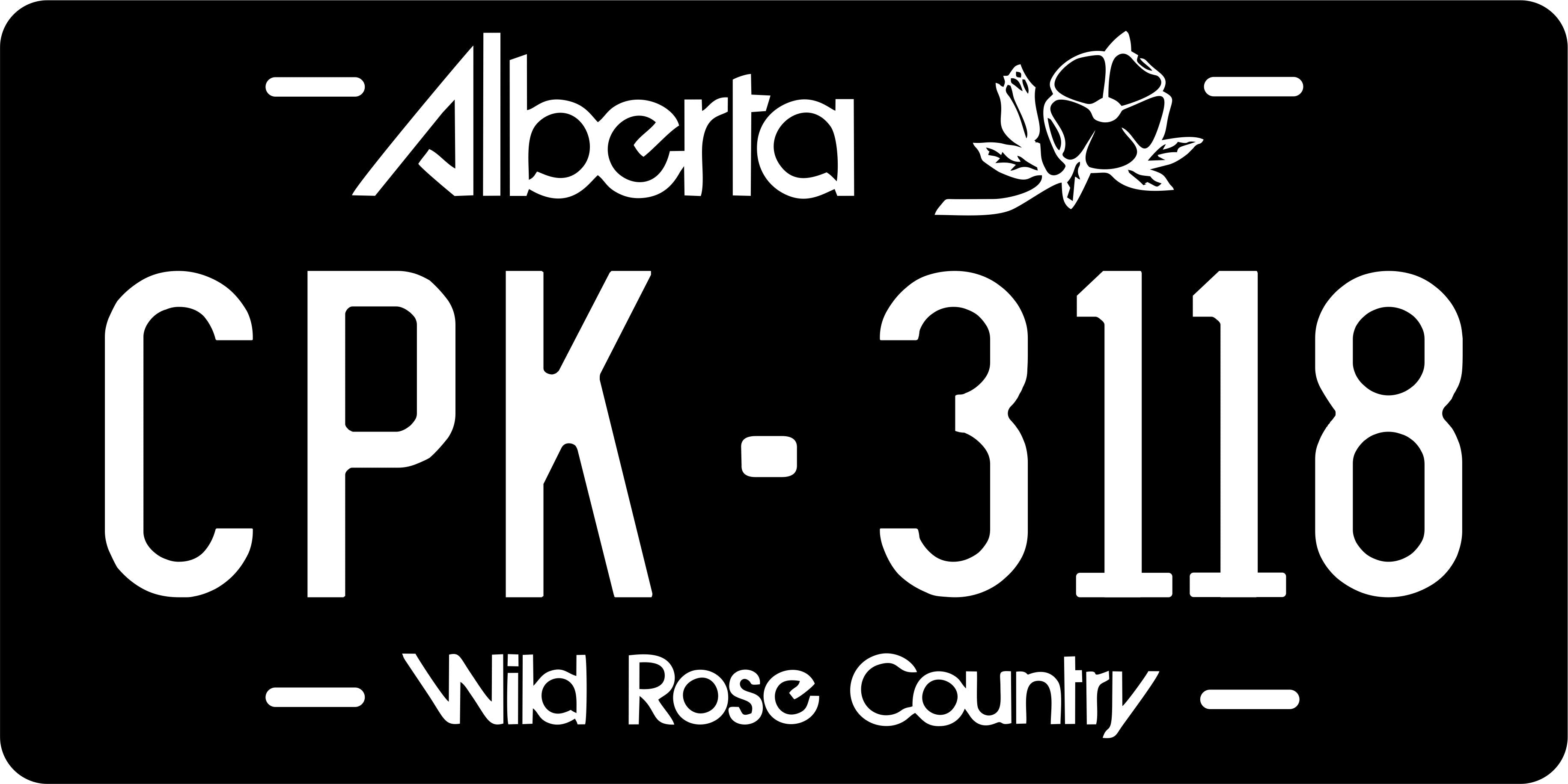 Alberta 2010 Blackout Canada License Plate Personalized Novelty Fun Car Bike Motorcycle