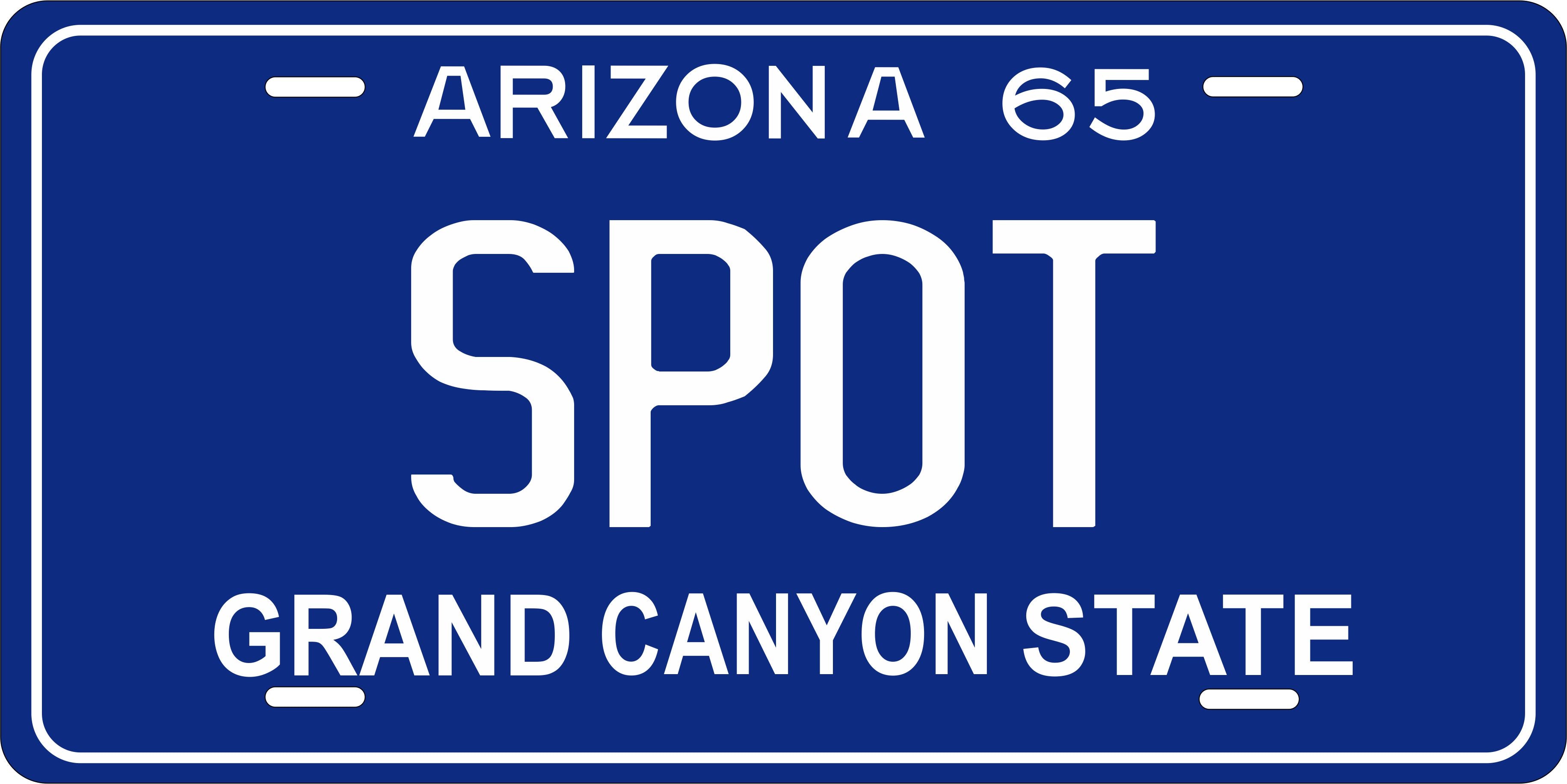 Arizona 1965 License Plate Personalized Novelty Fun Car Bike Motorcycle