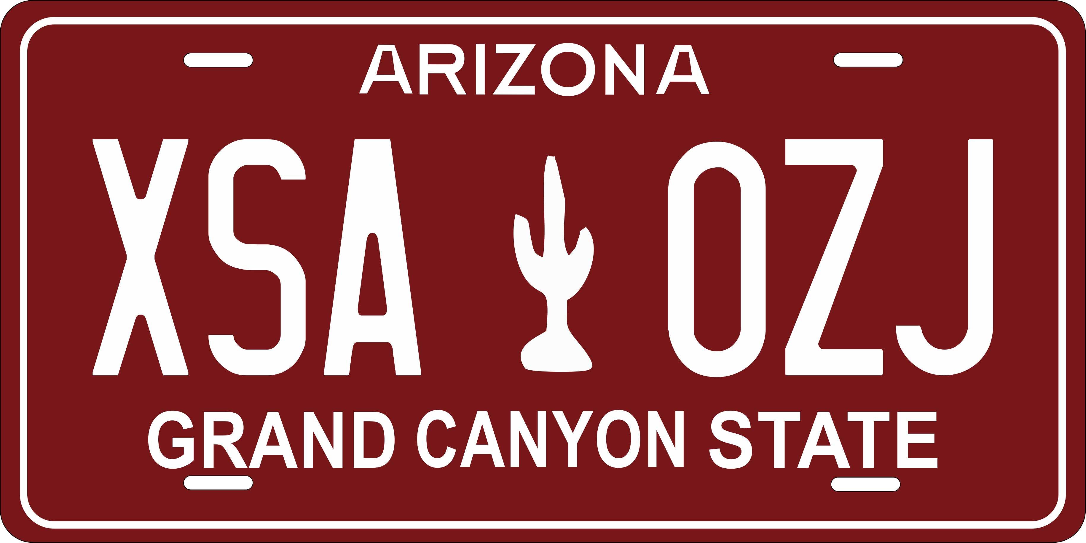 Arizona 1980 License Plate Personalized Novelty Fun Car Bike Motorcycle