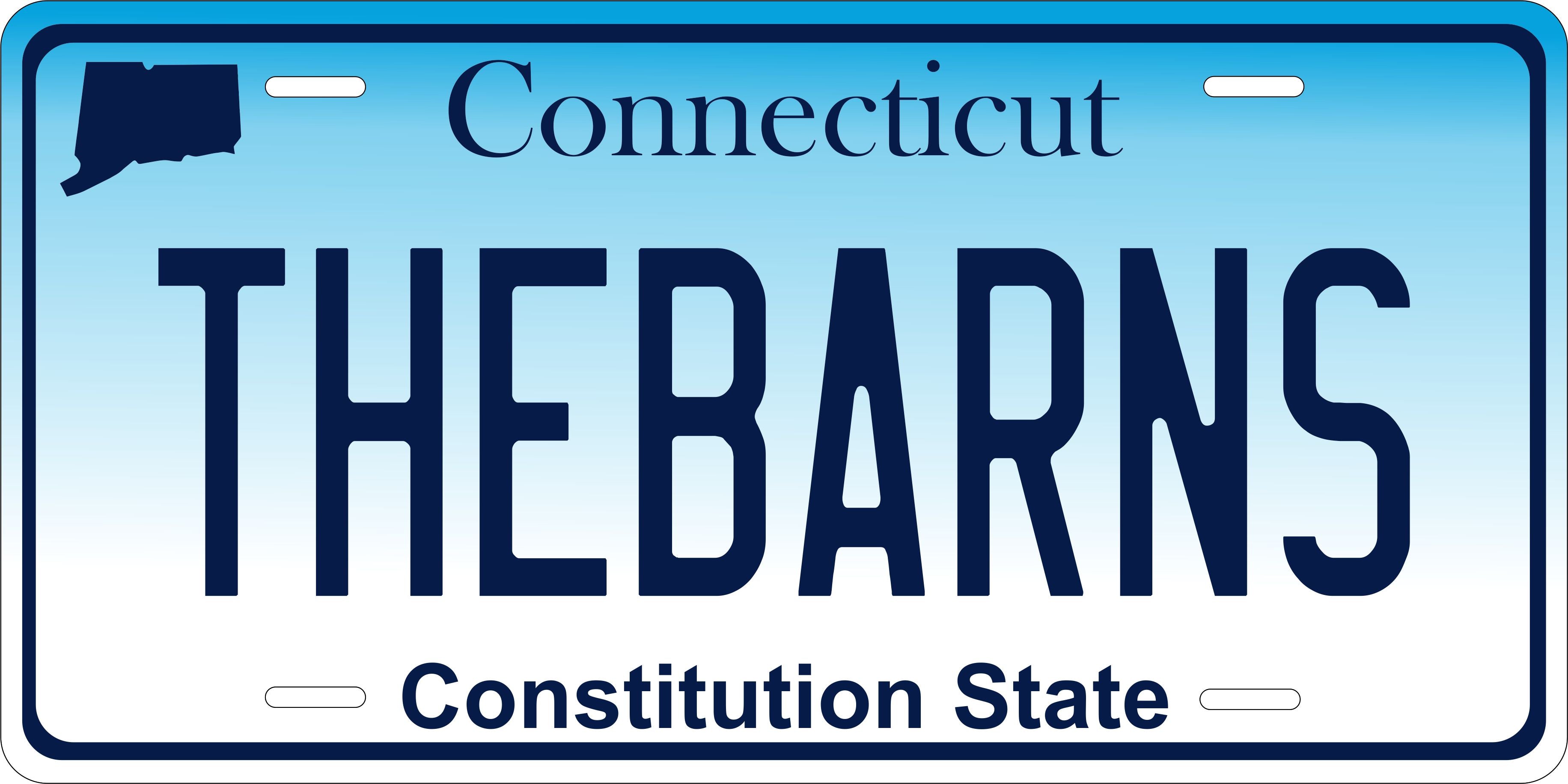 Connecticut 2015 Blue White License Plate Personalized Novelty Fun Car Bike Motorcycle