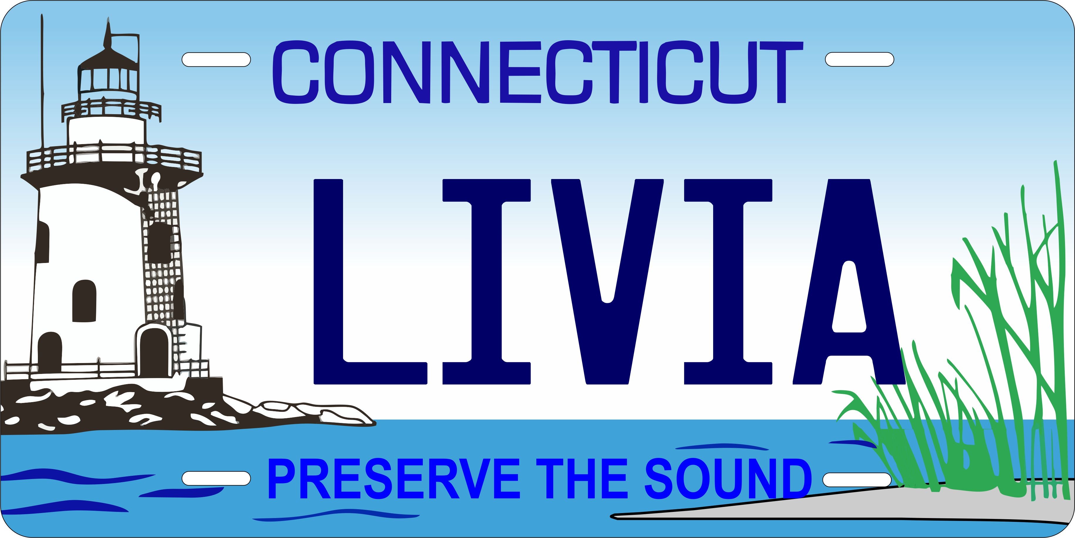 Connecticut Preserve The Sound License Plate Personalized Novelty Fun Car Bike Motorcycle