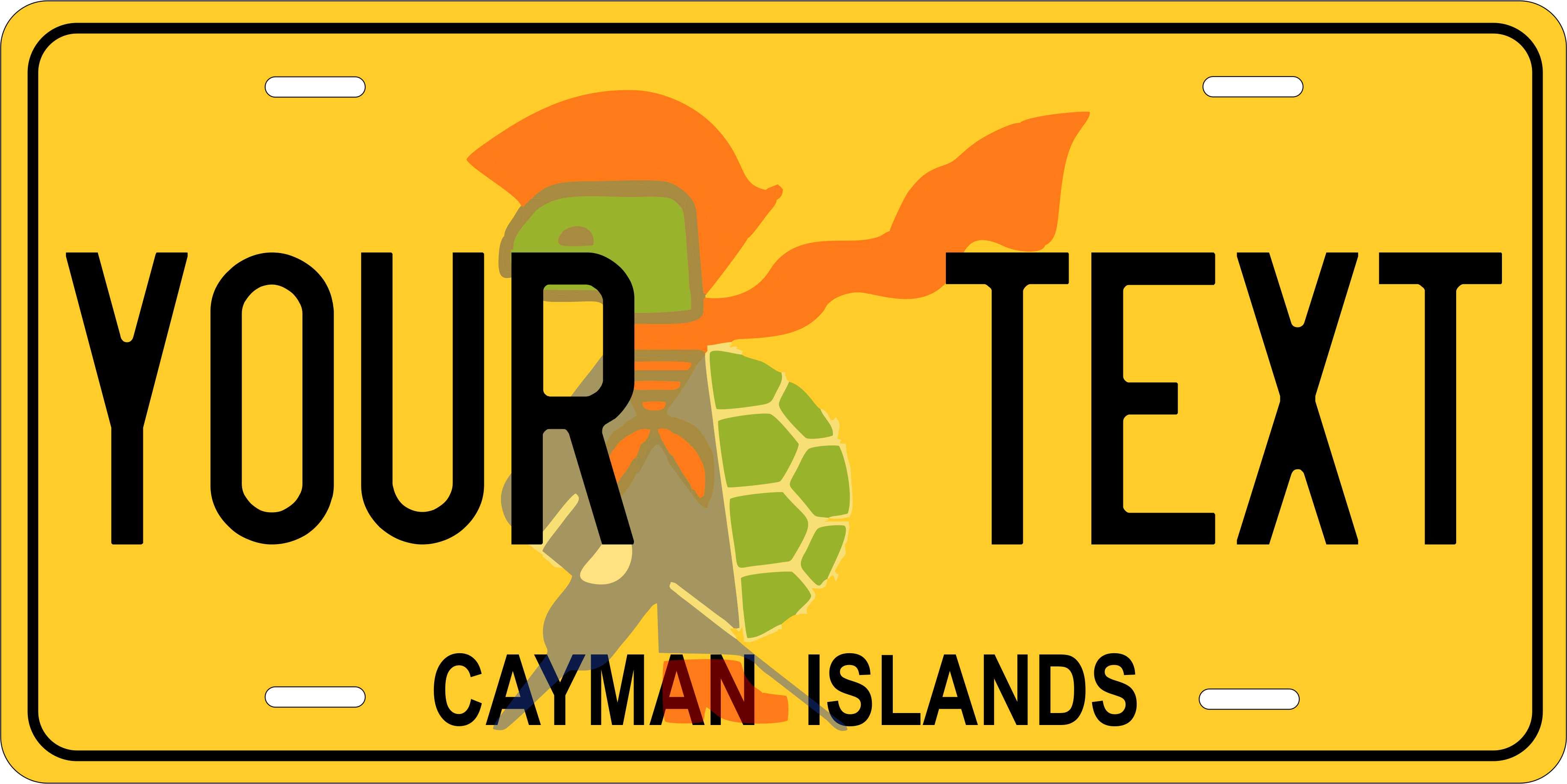 Cayman Big Turtle CARI License Plate Custom Novelty Car Bike Motorcycle