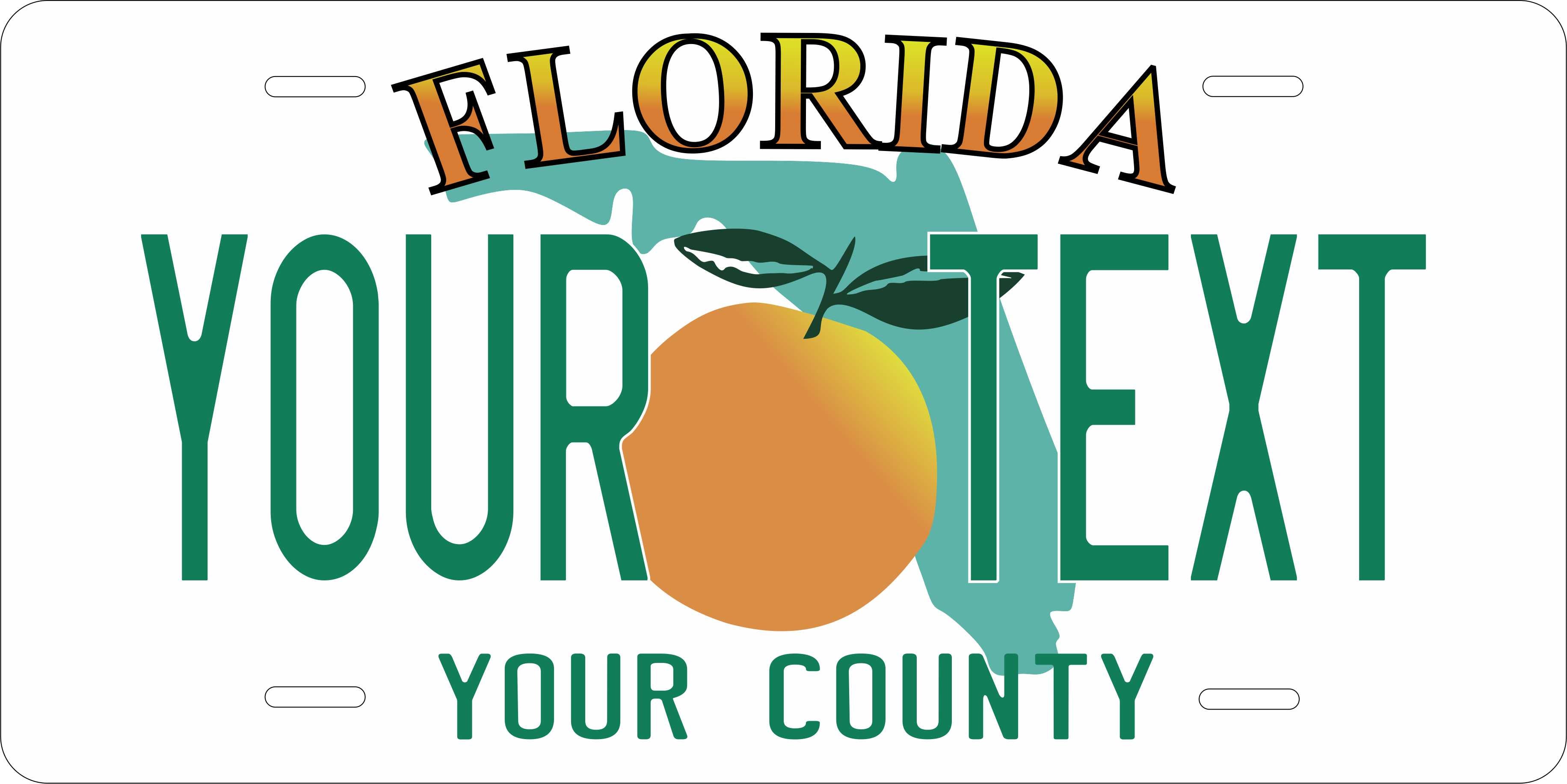 Florida 1998 License Plate Personalized Novelty Fun Car Bike Motorcycle