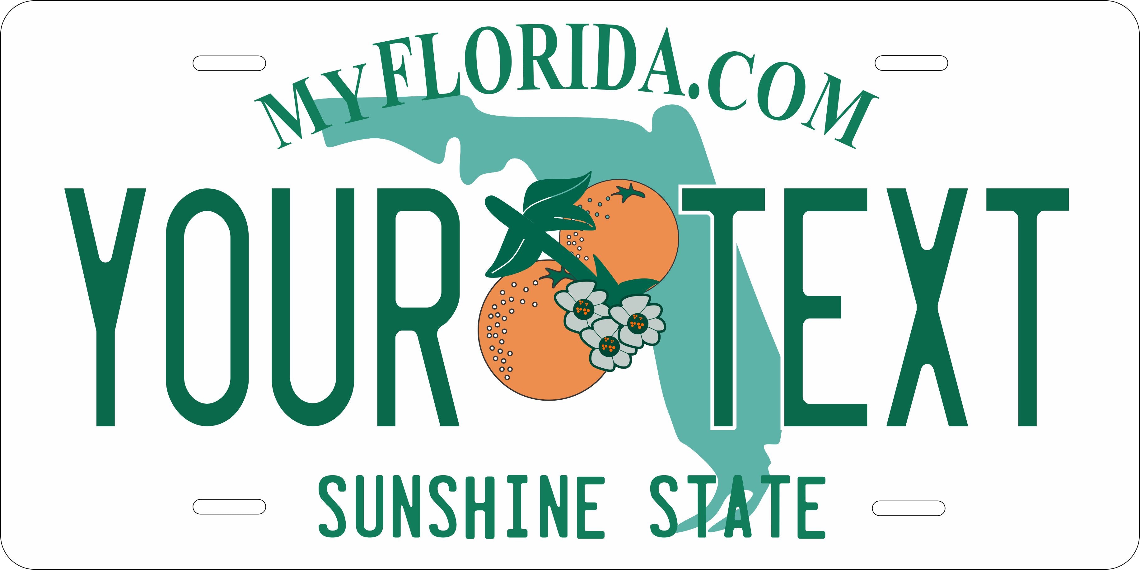 Florida 2003 White License Plate Personalized Novelty Fun Car Bike Motorcycle