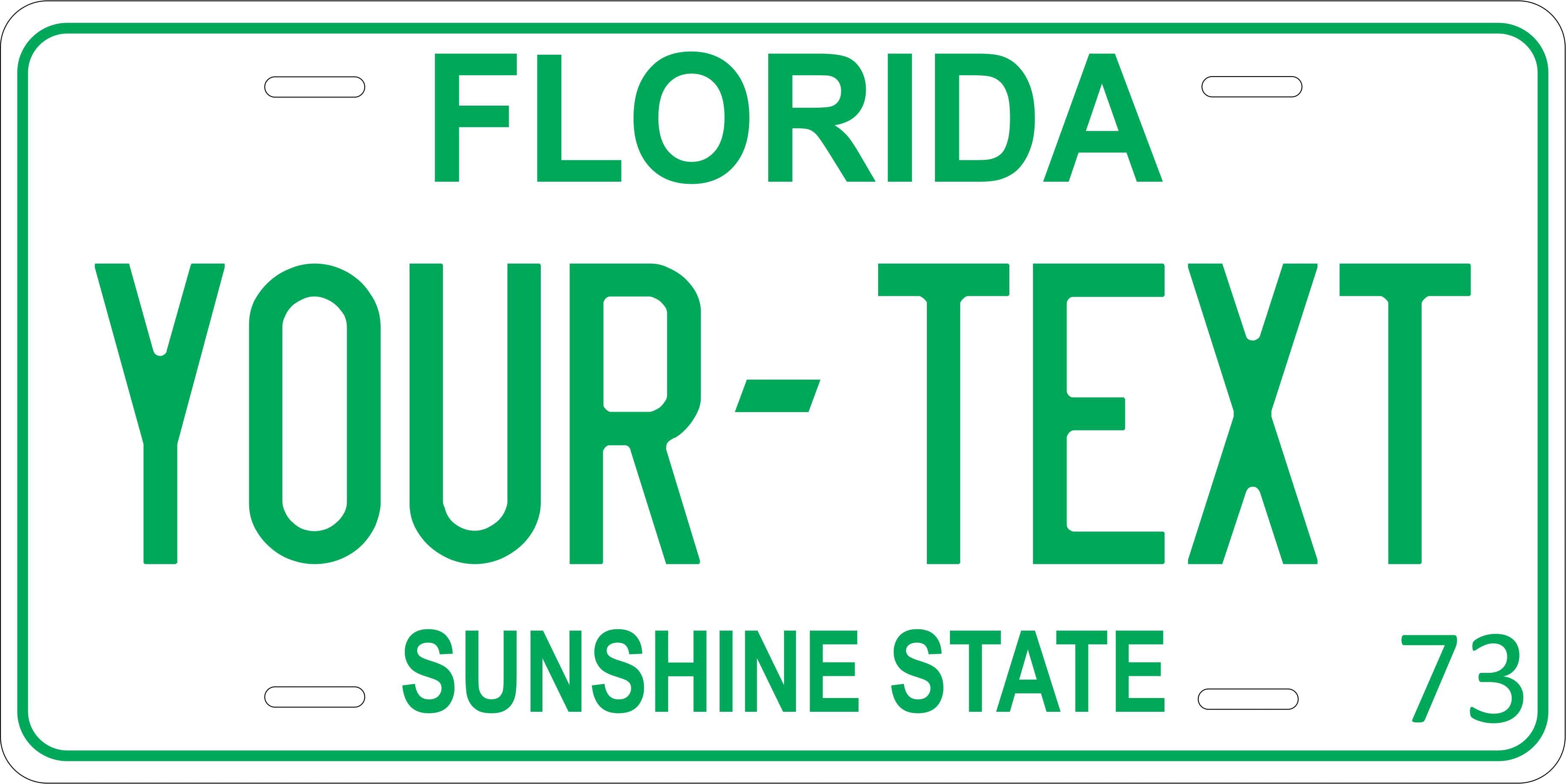 Florida 1973 License Plate Personalized Novelty Fun Car Bike Motorcycle