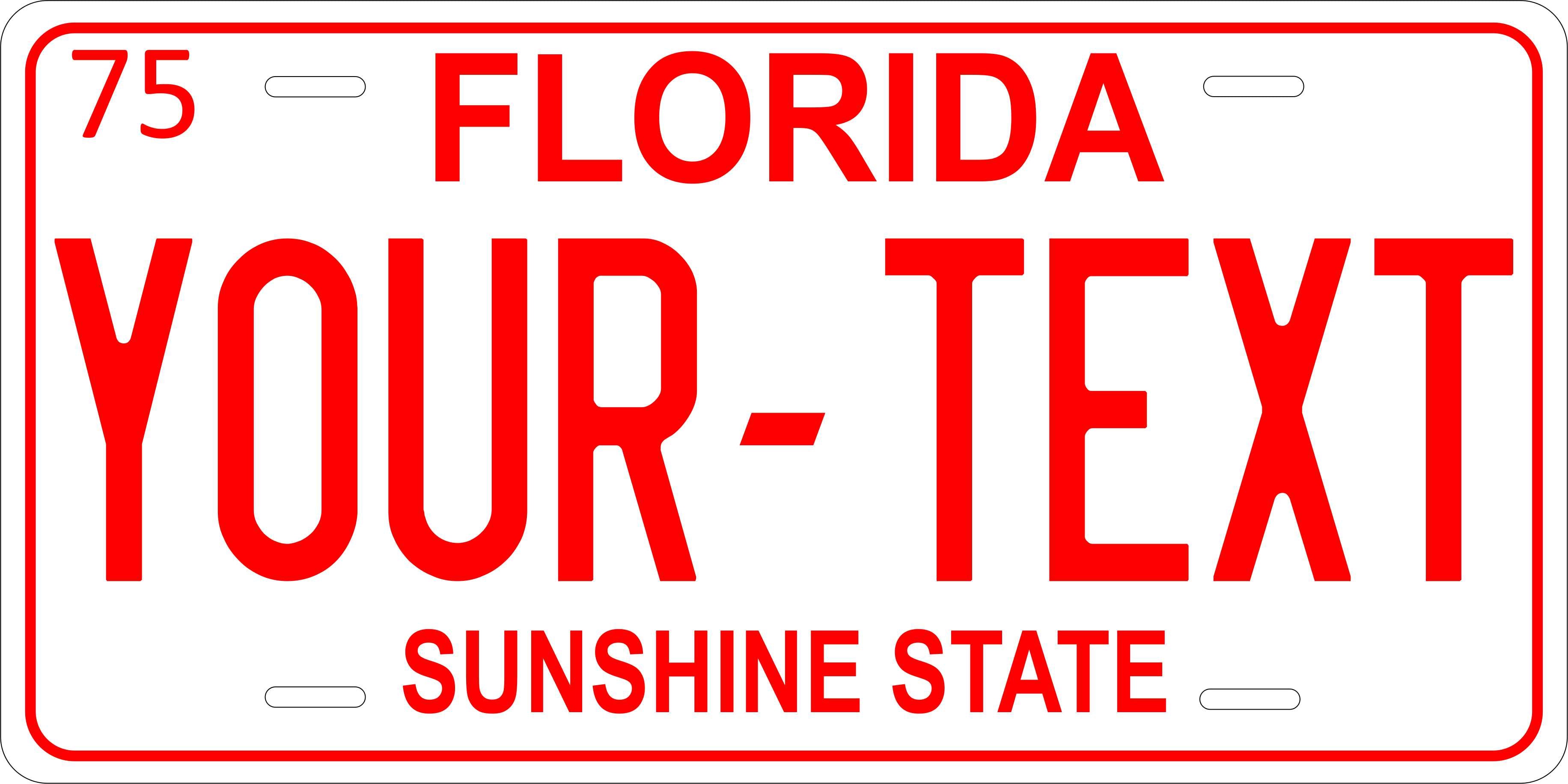 Florida 1975 License Plate Personalized Novelty Fun Car Bike Motorcycle
