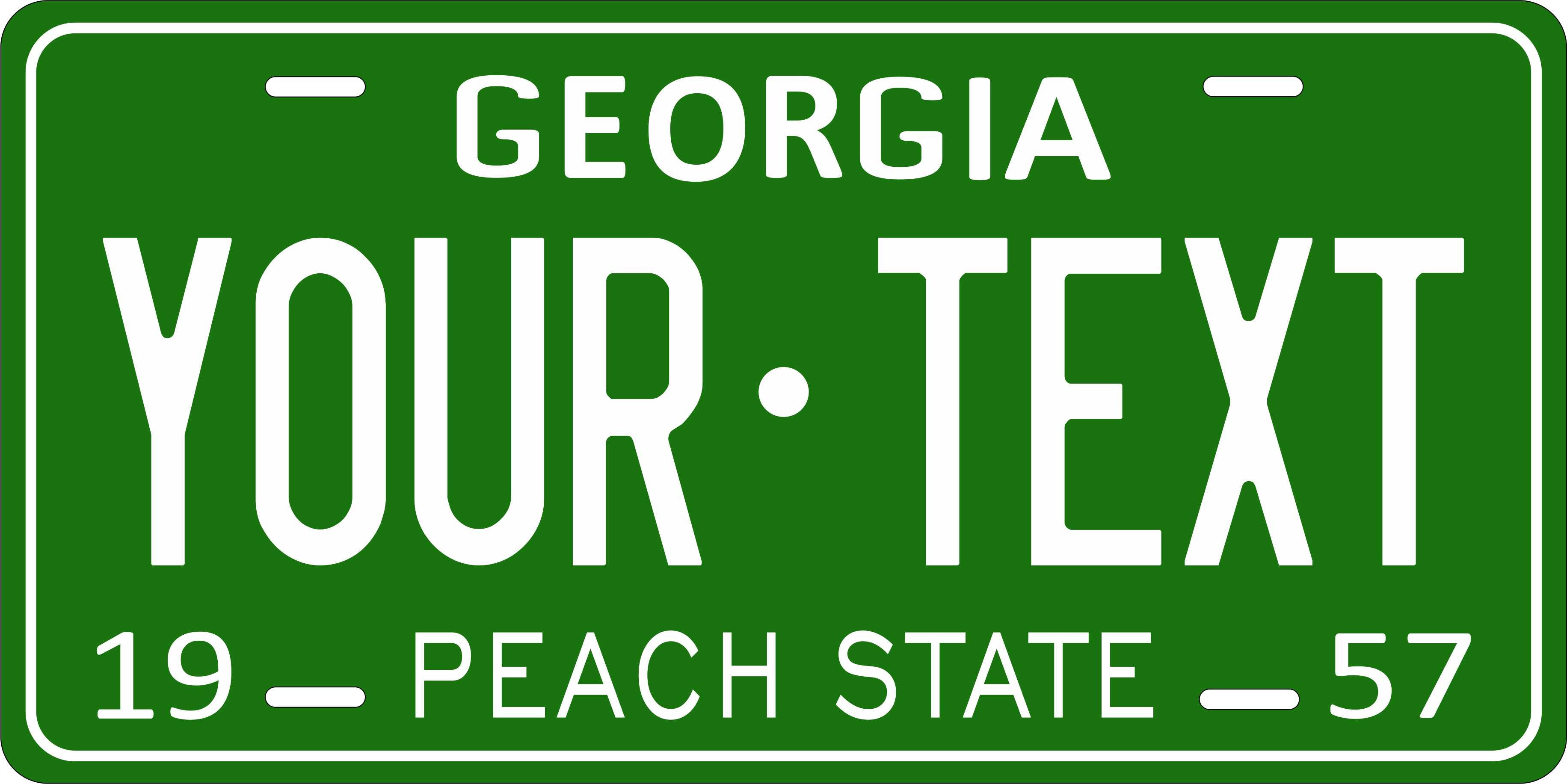 Georgia USA 1957 License Plate Personalized Novelty Fun Car Bike Motorcycle
