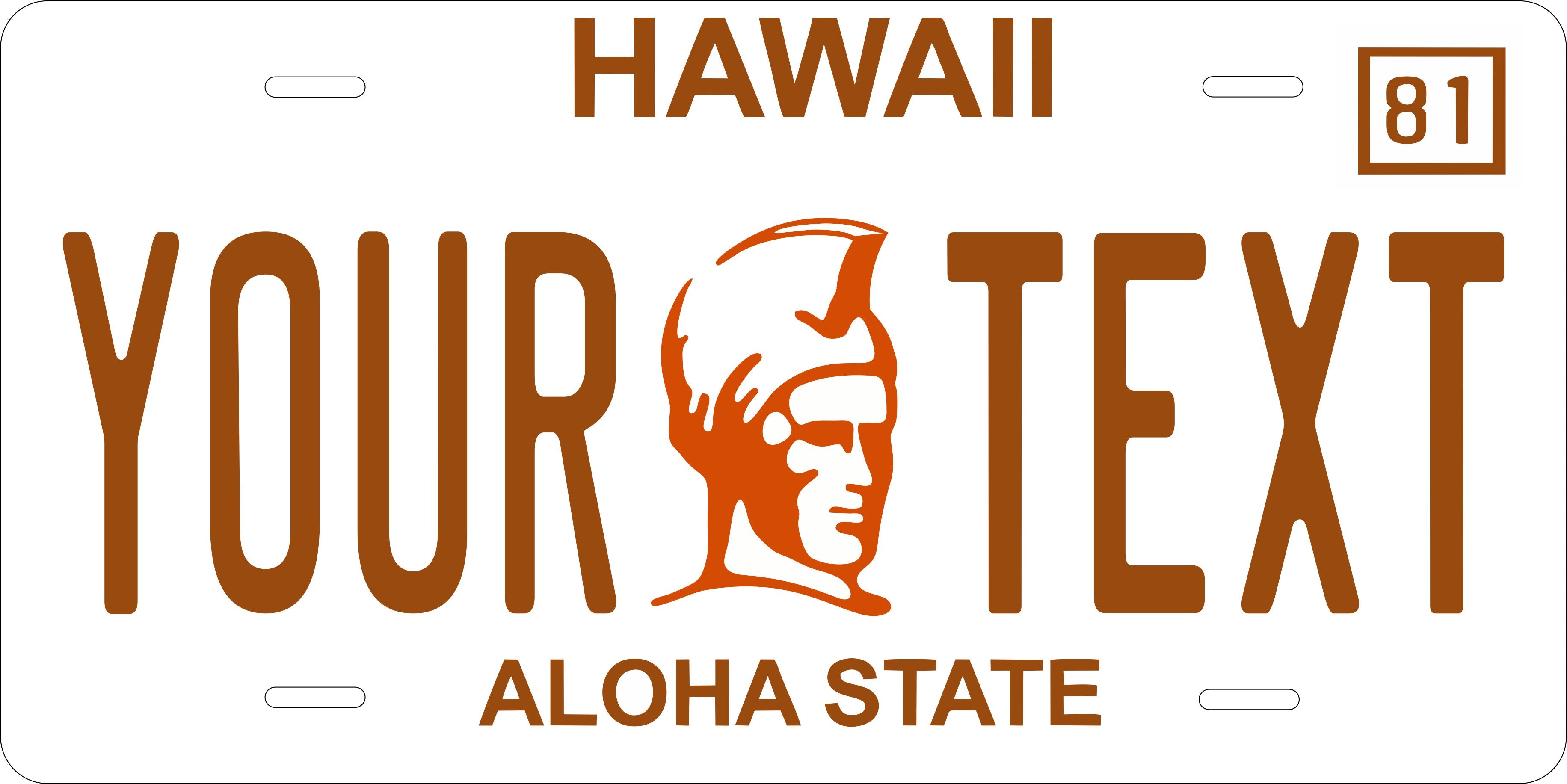 Hawaii 1981 License Plate Personalized Novelty Fun Car Bike Motorcycle