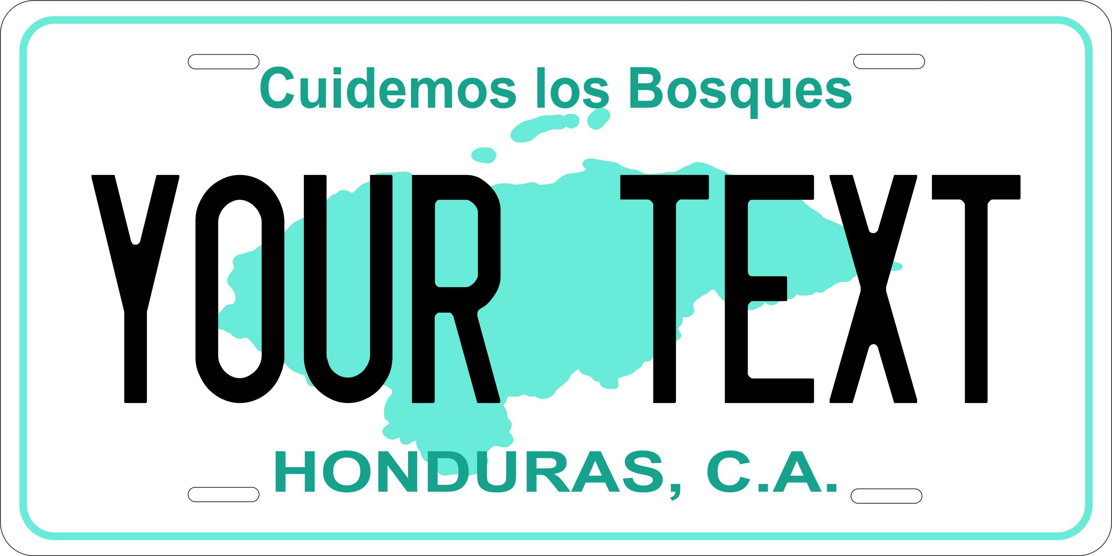 Honduras 1999 CSA License Plate Custom Novelty Car Bike Motorcycle