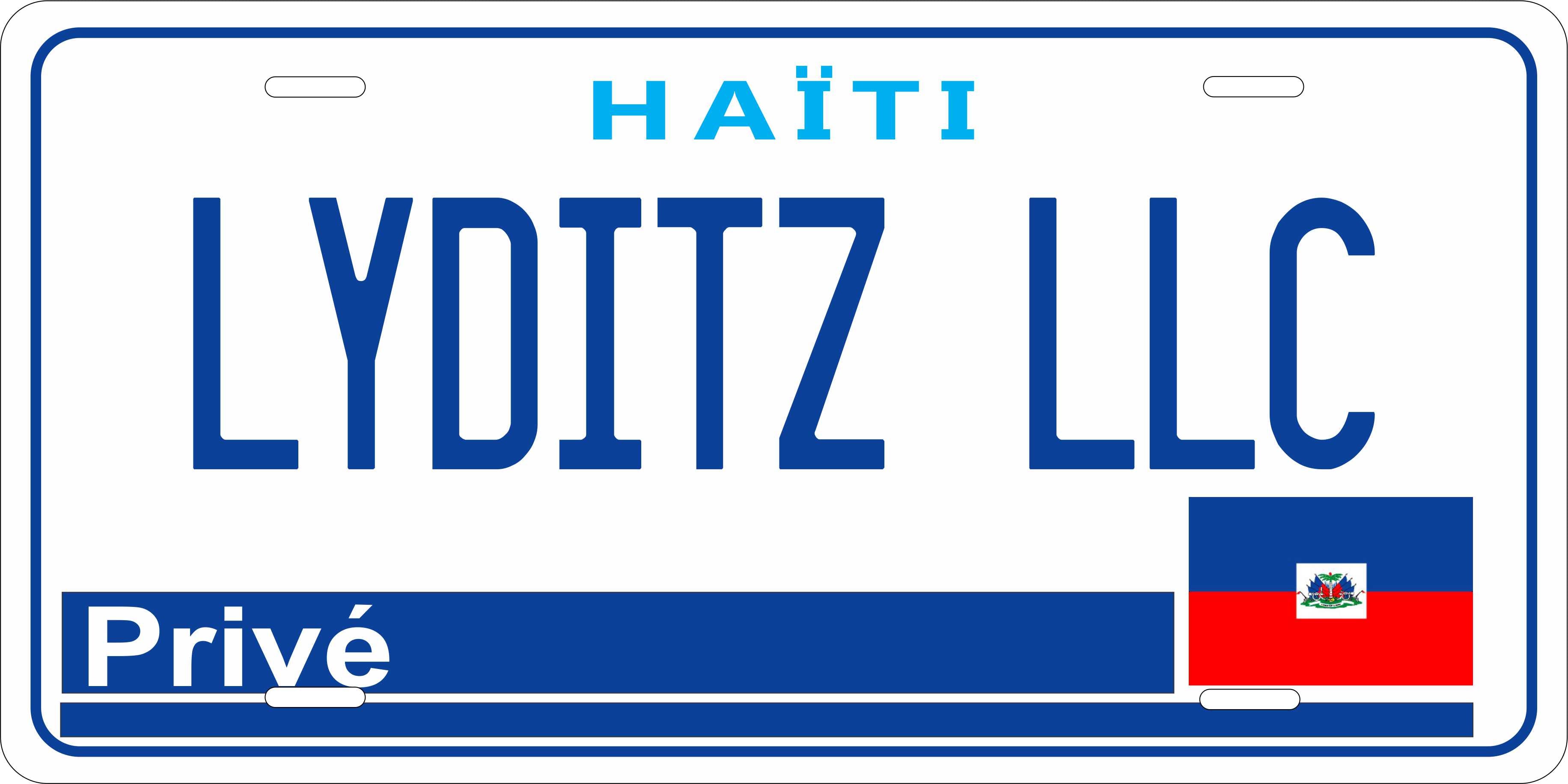 Haiti 2003 CARI License Plate Custom Novelty Car Bike Motorcycle