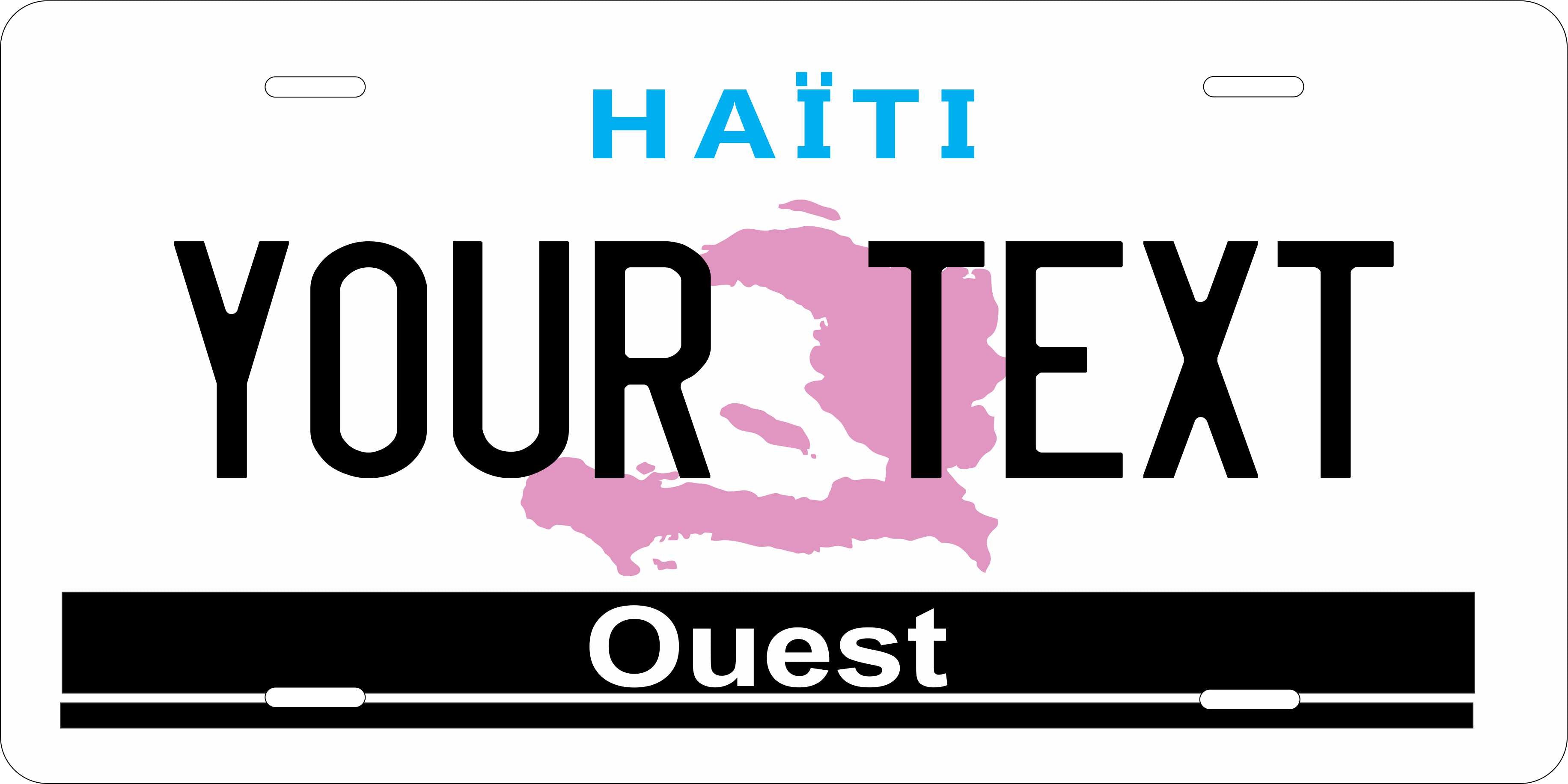 Haiti 2006 CARI License Plate Custom Novelty Car Bike Motorcycle