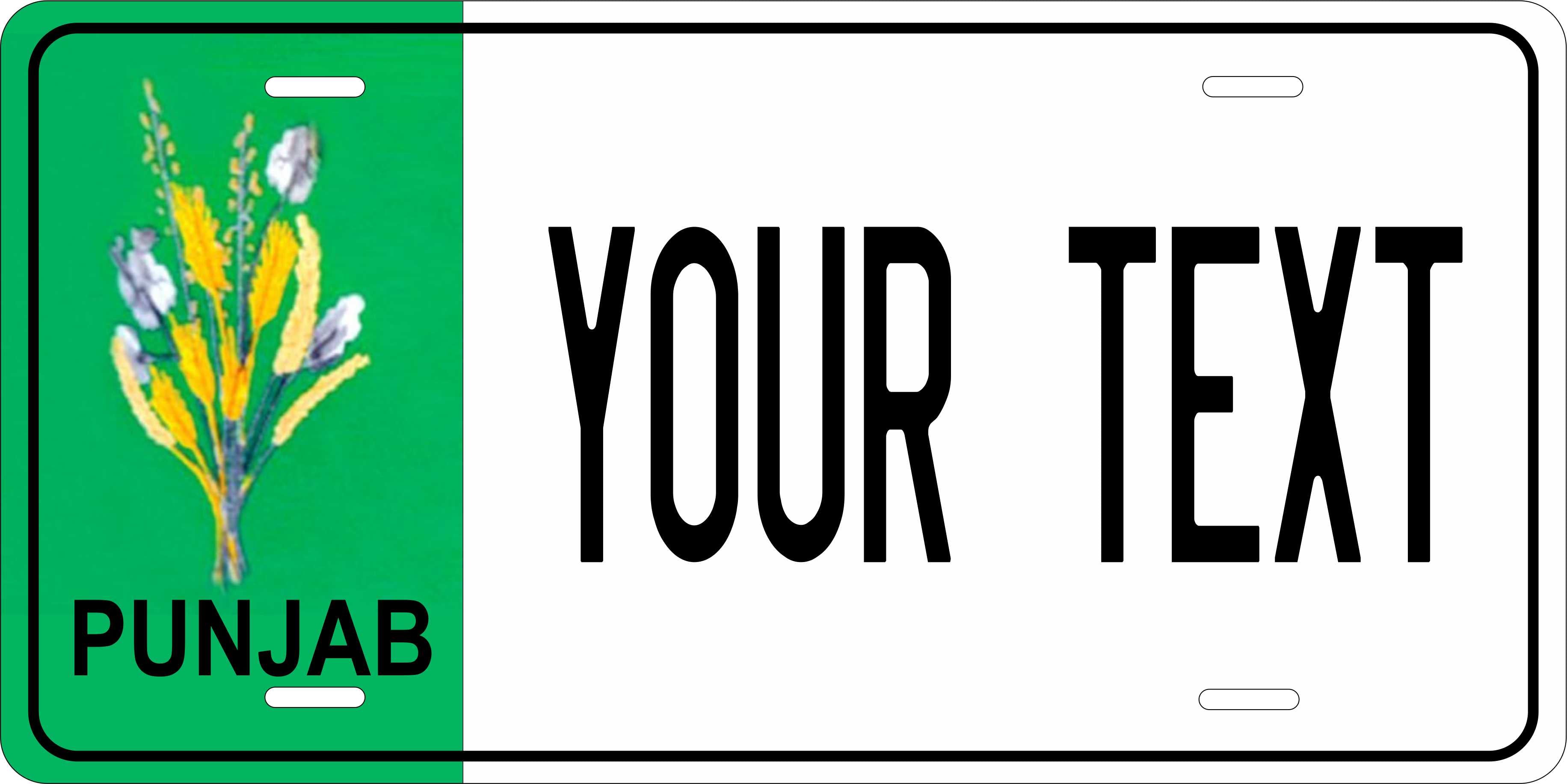 India Punjab Asia Flag Wave License Plate personalized Novelty Fun Car Bike Motorcycle