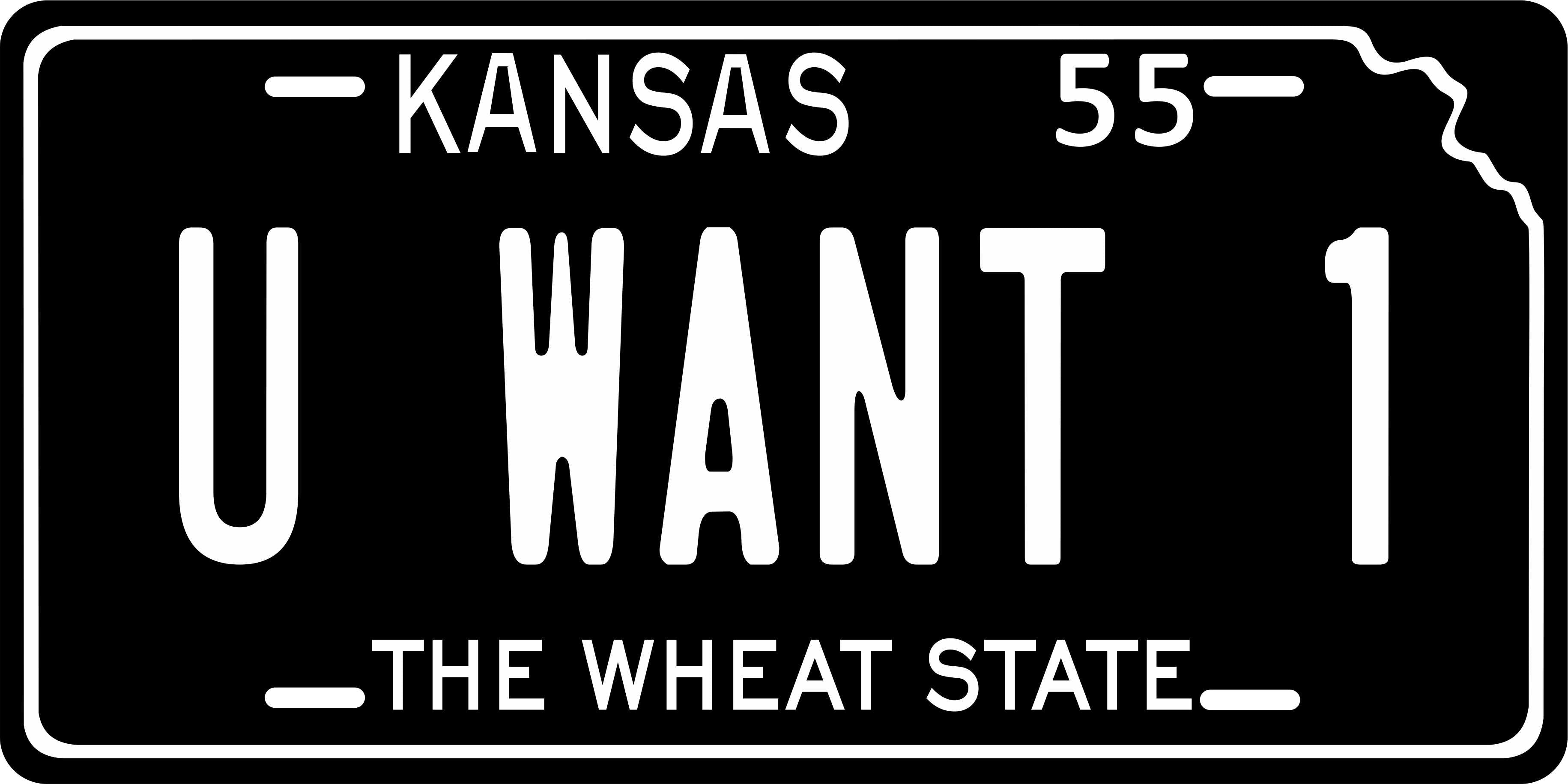 Kansas State 1955 License Plate Personalized Novelty Fun Car Bike Motorcycle
