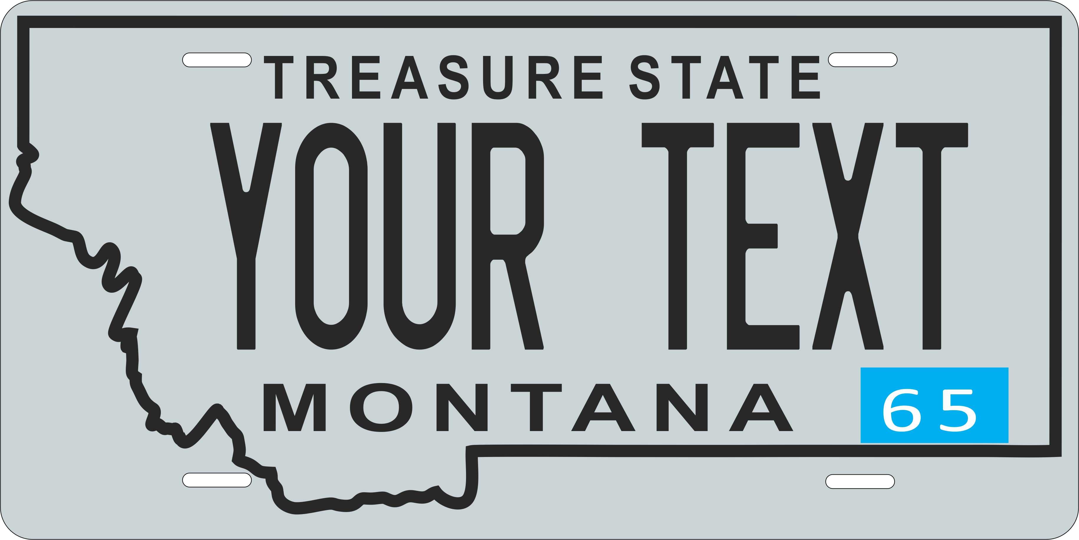 Montana 1965 License Plate Personalized Novelty Fun Car Bike Motorcycle