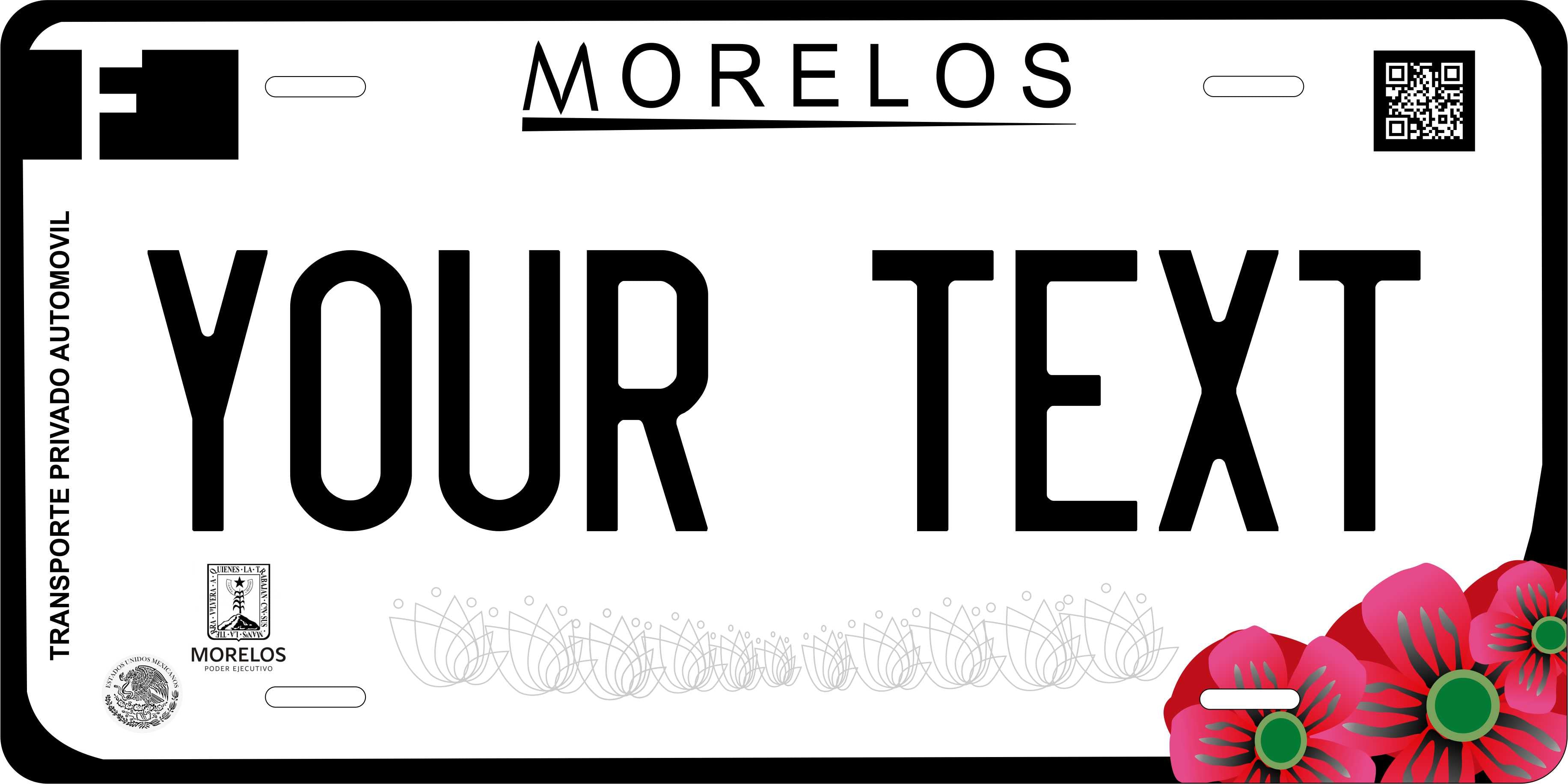 Morelos 2019 Mexico CA License Plate Personalized Novelty Fun Car Bike Motorcycle
