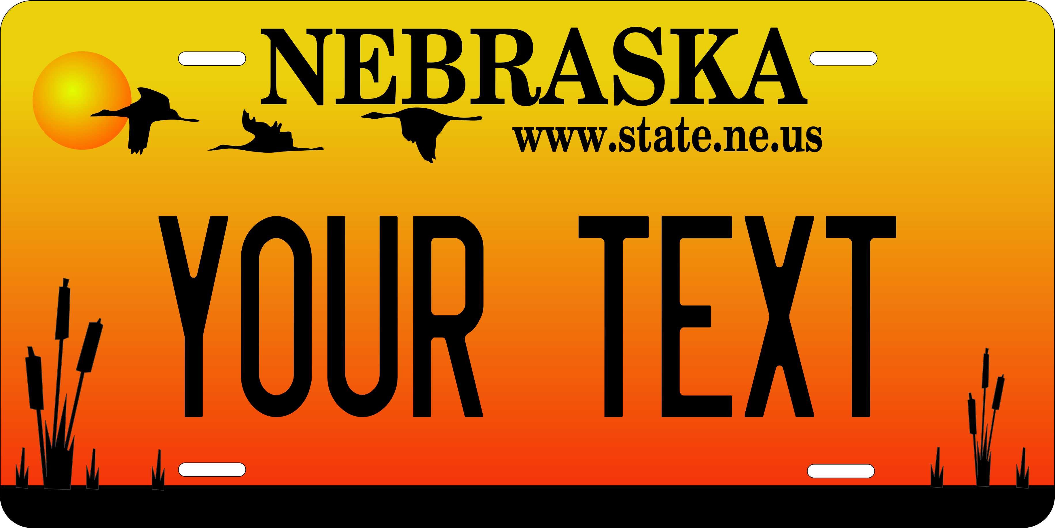Nebraska 2003 License Plate Personalized Novelty Fun Car Bike Motorcycle