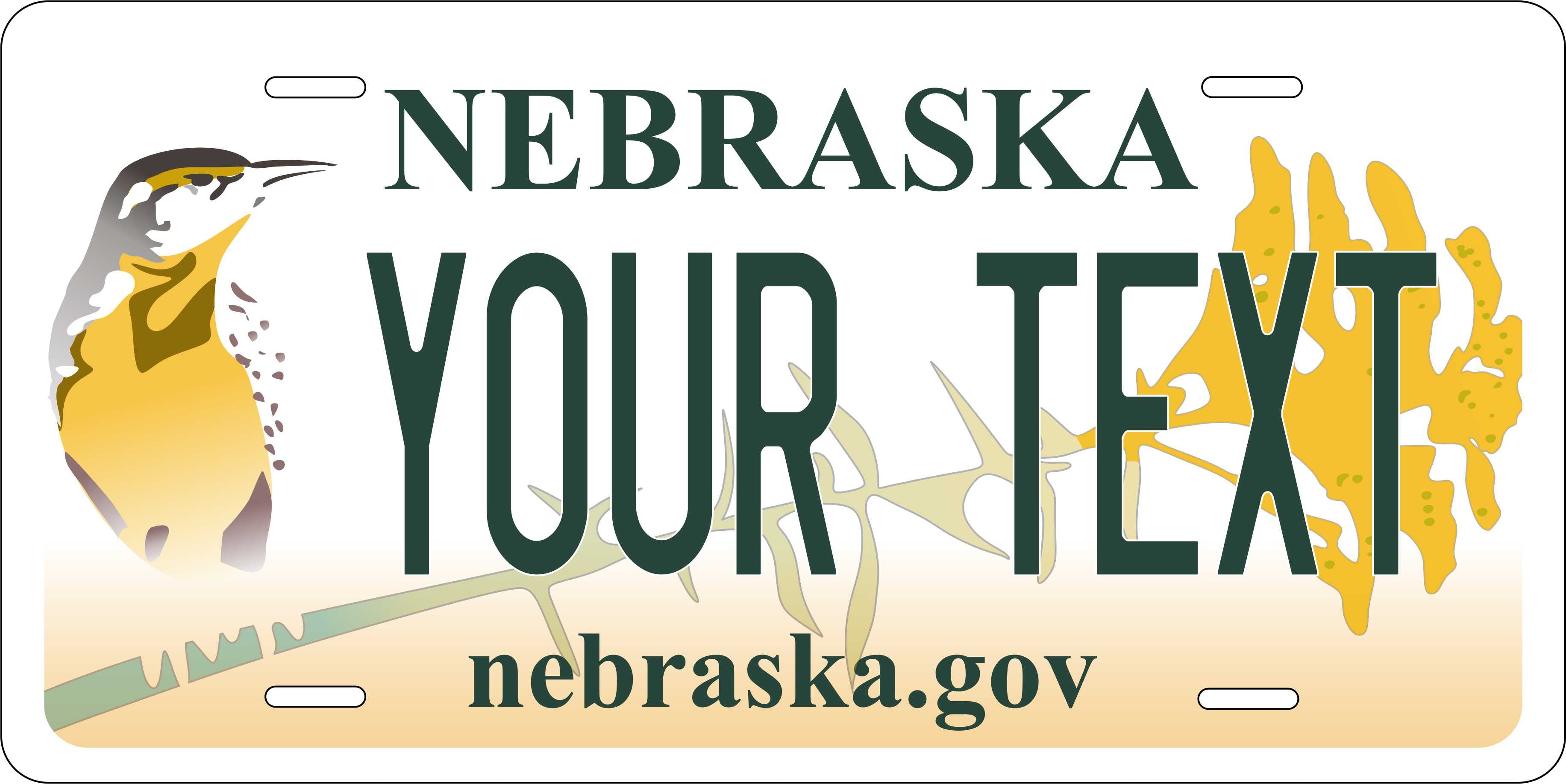 Nebraska 2011 License Plate Personalized Novelty Fun Car Bike Motorcycle