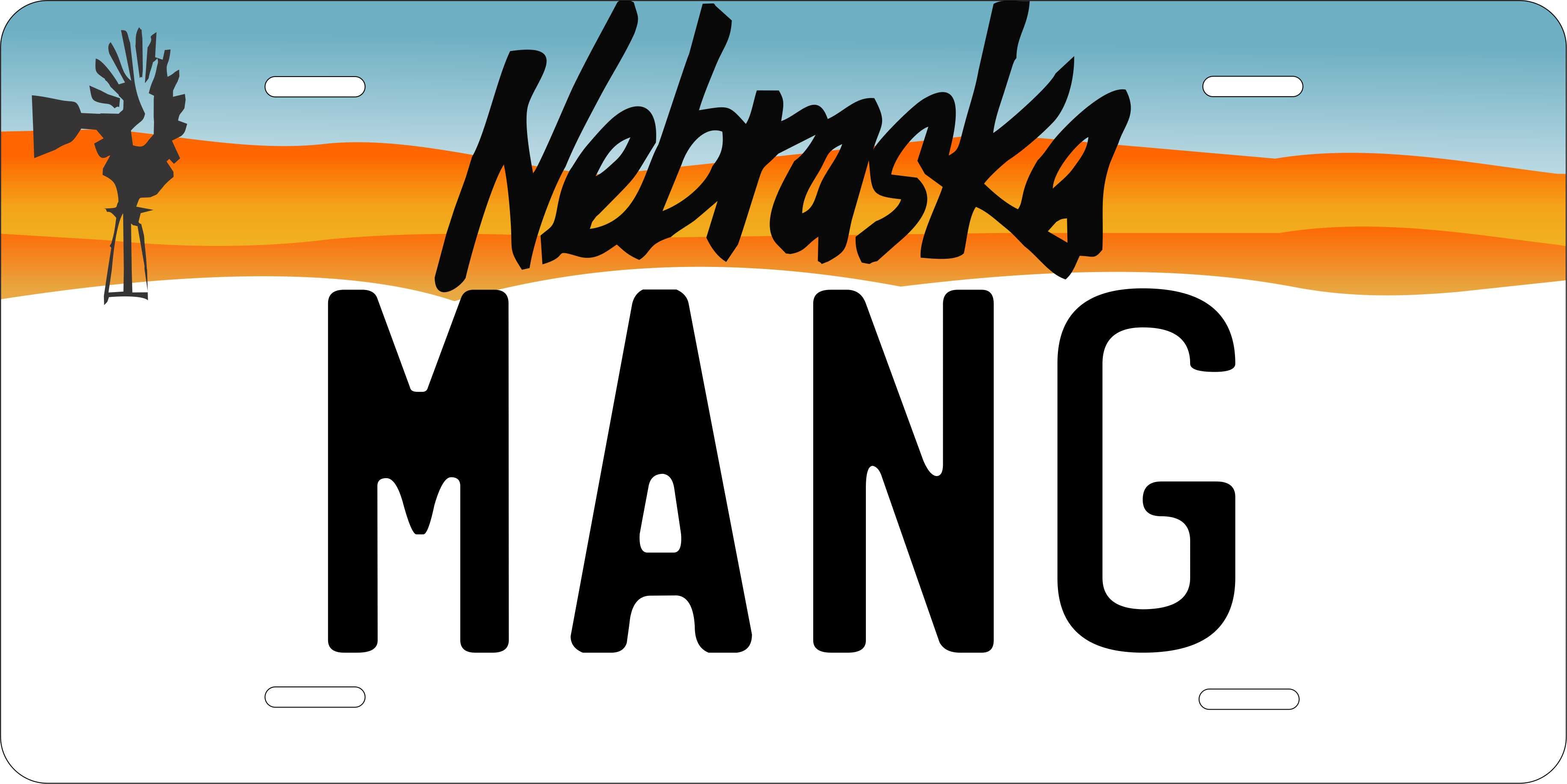 Nebraska 1989 License Plate Personalized Novelty Fun Car Bike Motorcycle