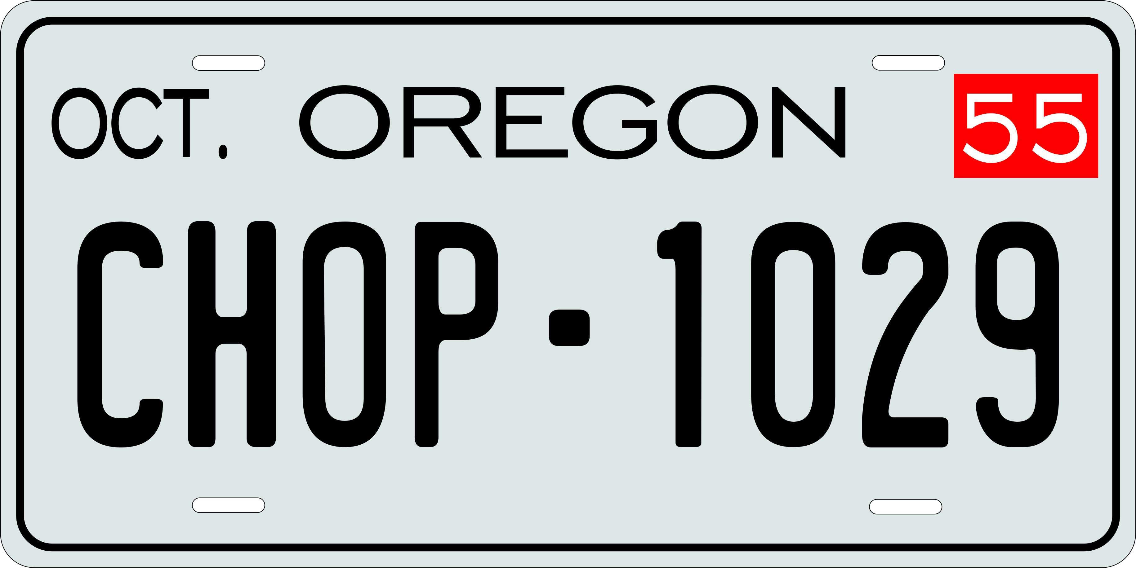 Oregon 1955 License Plate Personalized Novelty Fun Car Bike Motorcycle