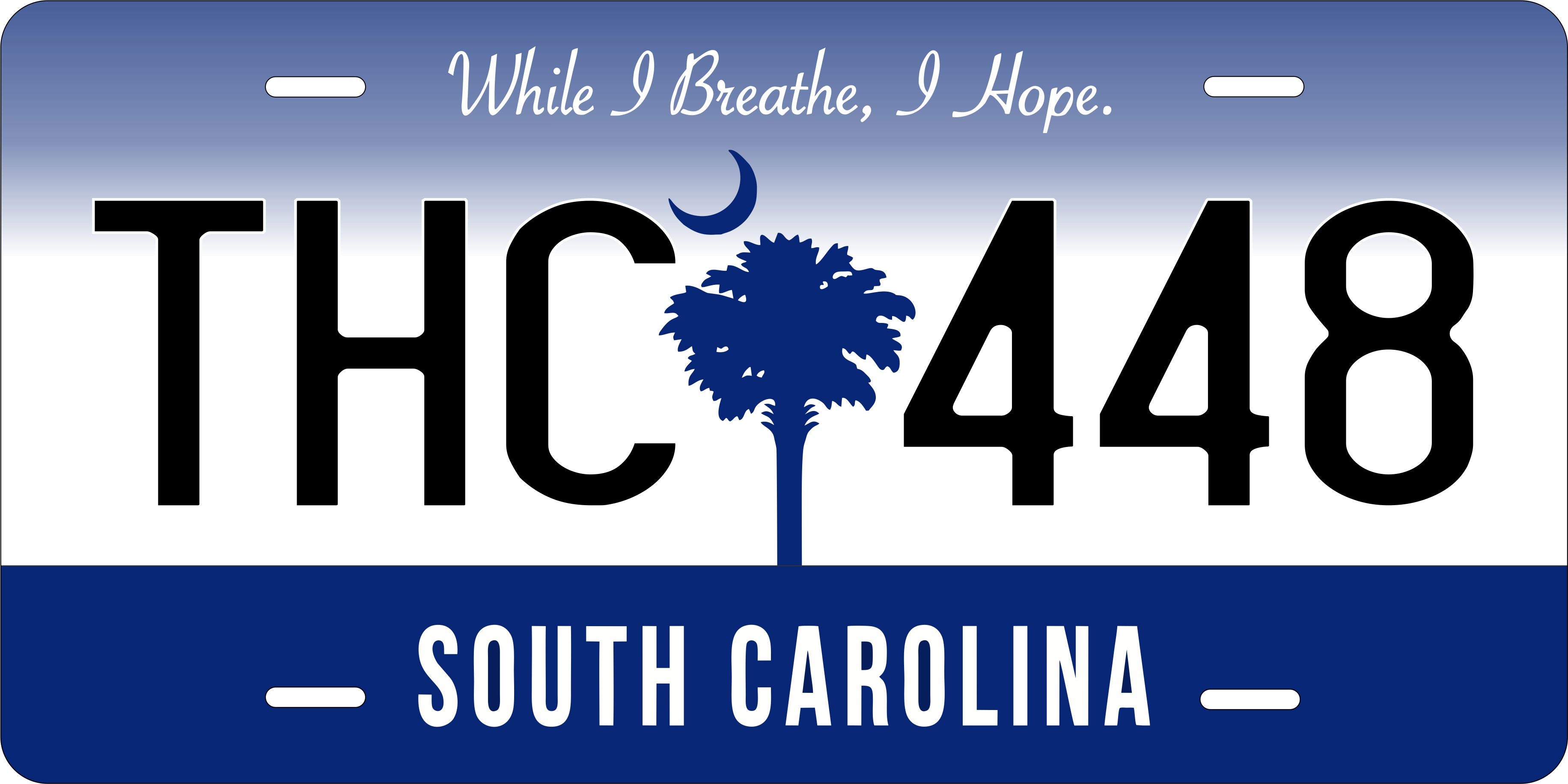 South Carolina 2016 License Plate Personalized Novelty Fun Car Bike Motorcycle