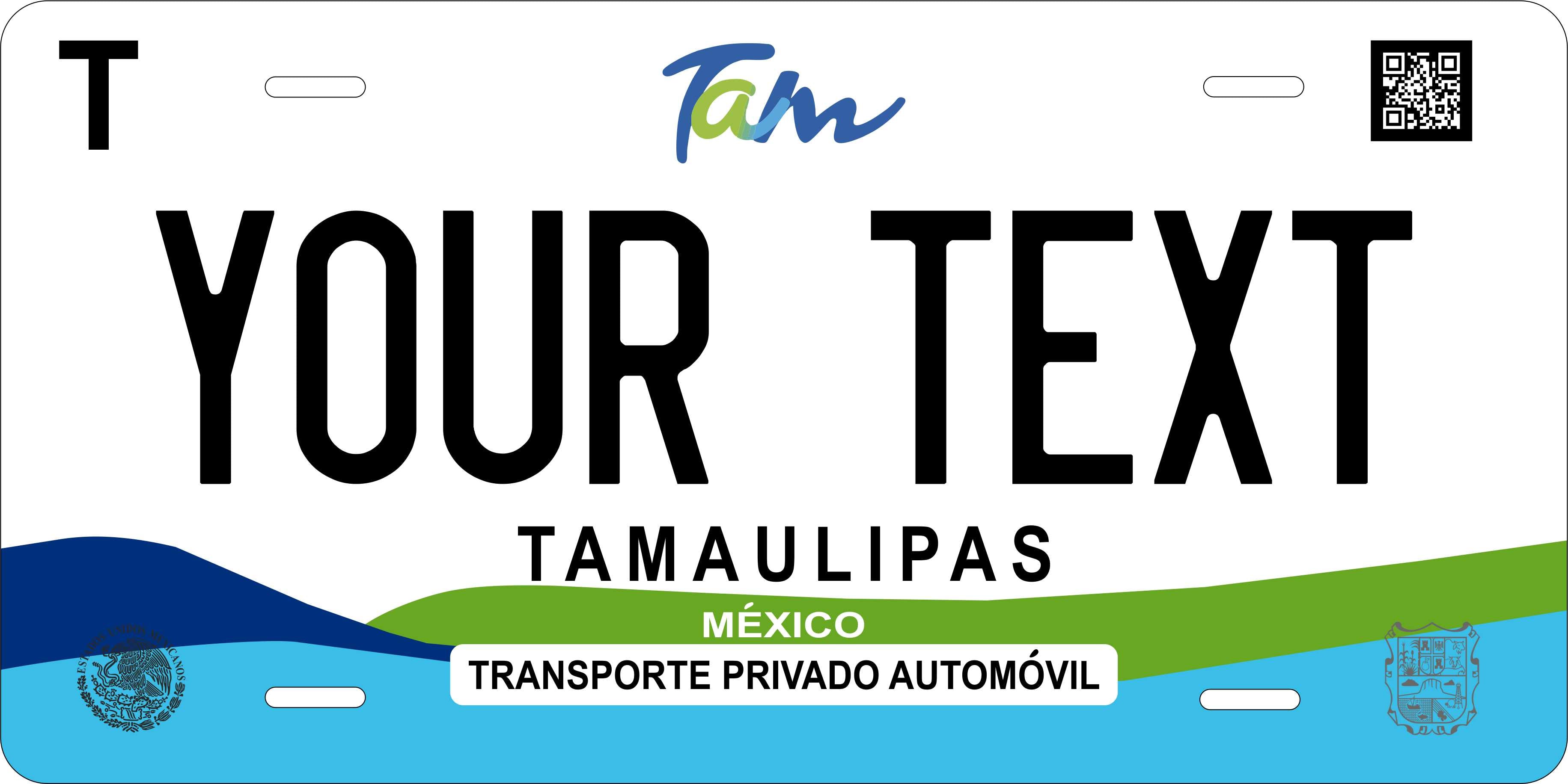 Tamaulipas 2019 Mexico CA License Plate Personalized Novelty Fun Car Bike Motorcycle