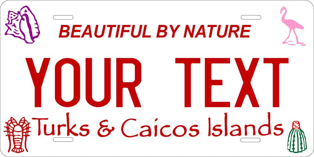 Turks Caicos 2005 CARI License Plate Custom Novelty Car Bike Motorcycle