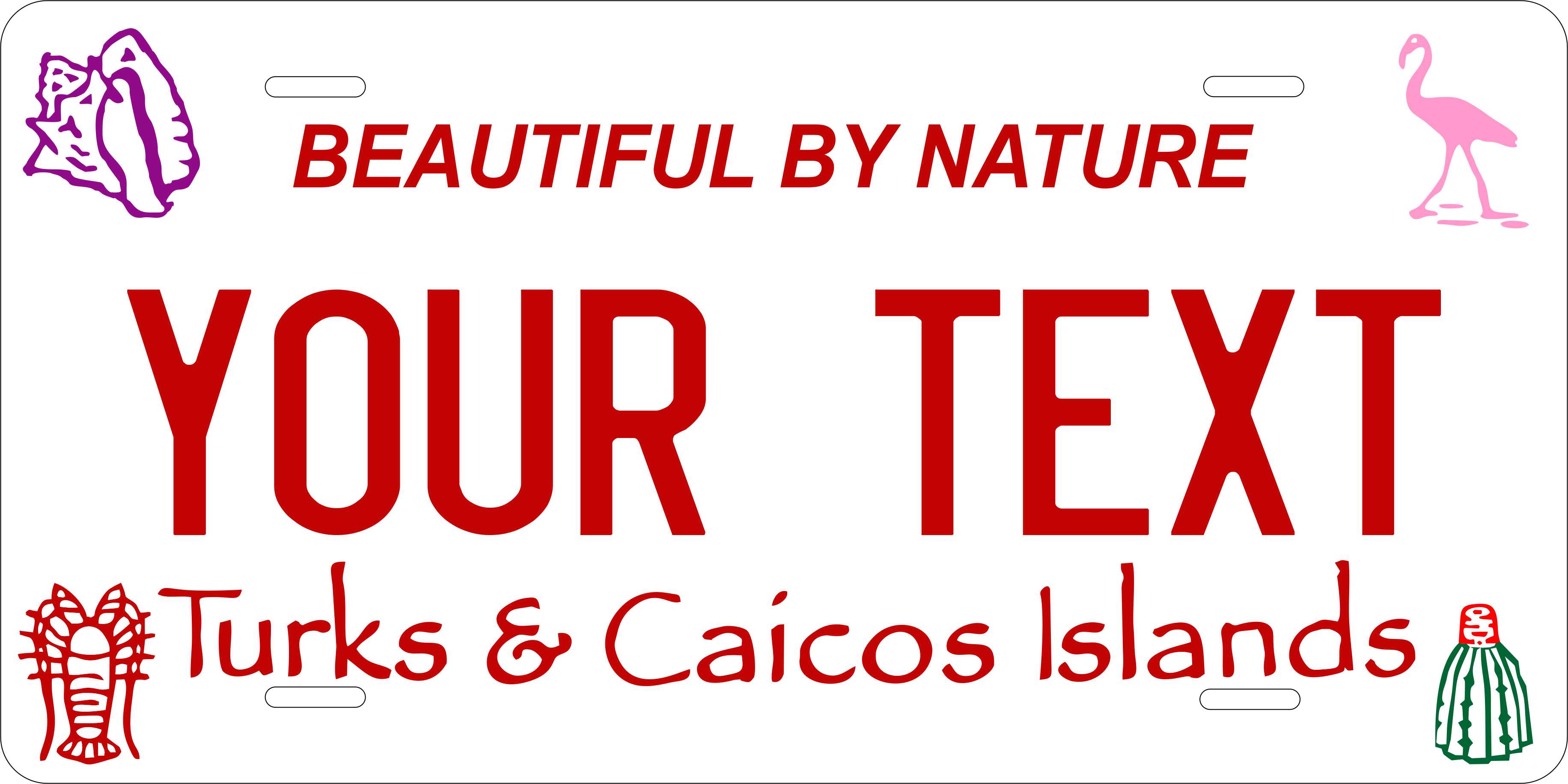 Turks Caicos 2005 CARI License Plate Custom Novelty Car Bike Motorcycle