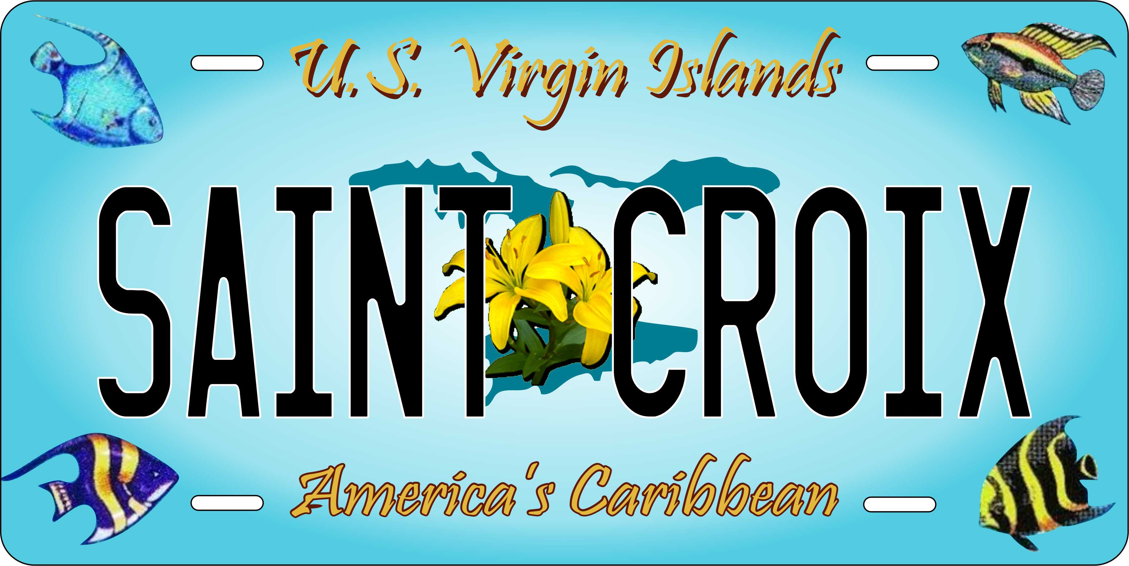 US Virgin Islands 2006 License Plate Personalized Novelty Fun Car Bike Motorcycle