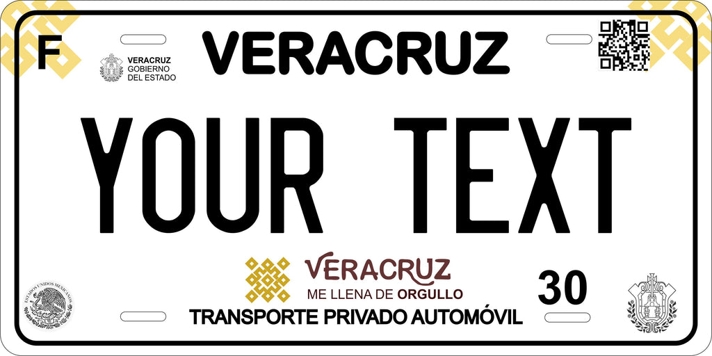 Veracruz 2019 Mexico CA License Plate Personalized Novelty Fun Car Bike Motorcycle