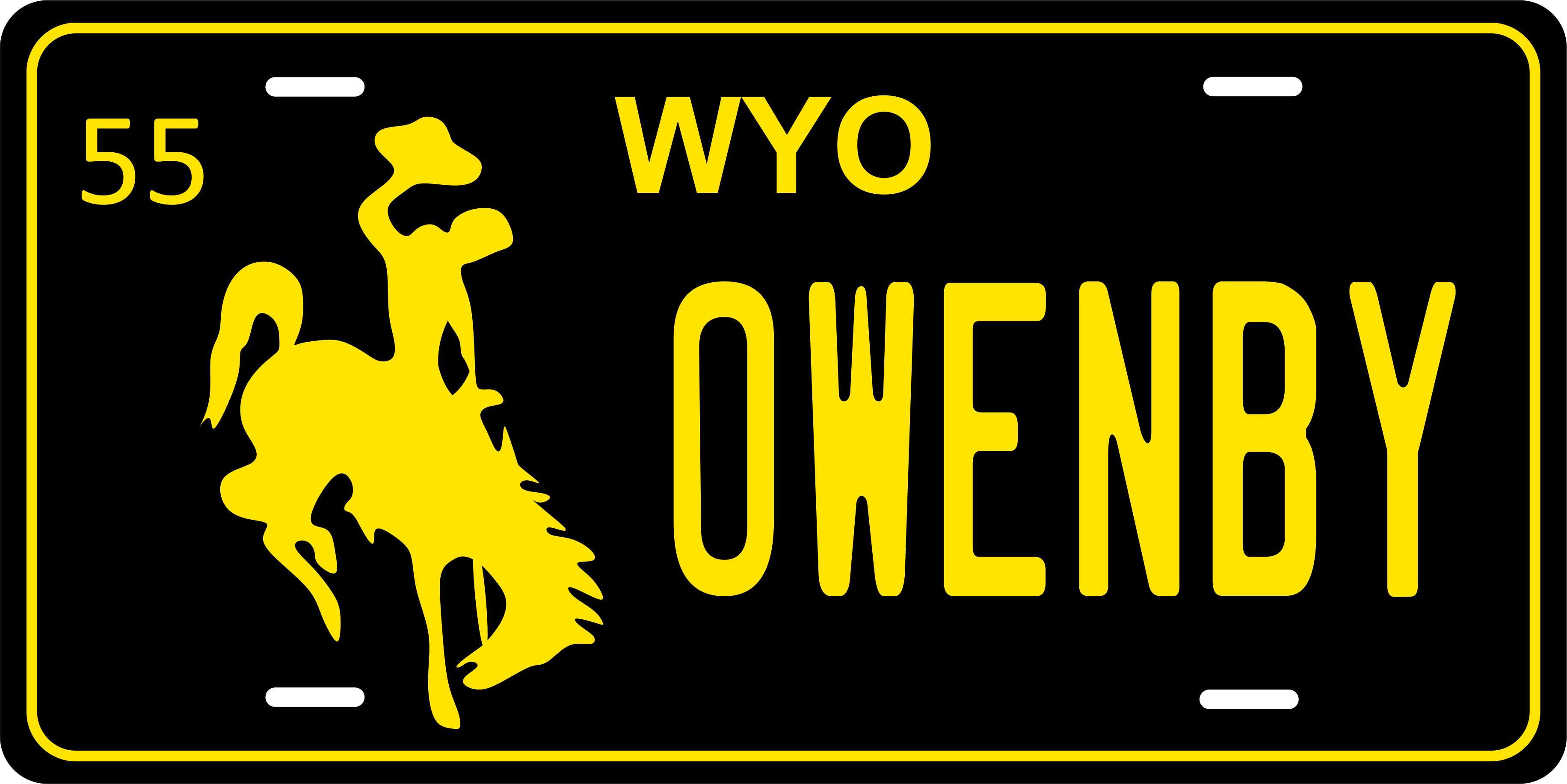 Wyoming 1955 License Plate Yellow personalized Novelty Fun Car Bike Motorcycle