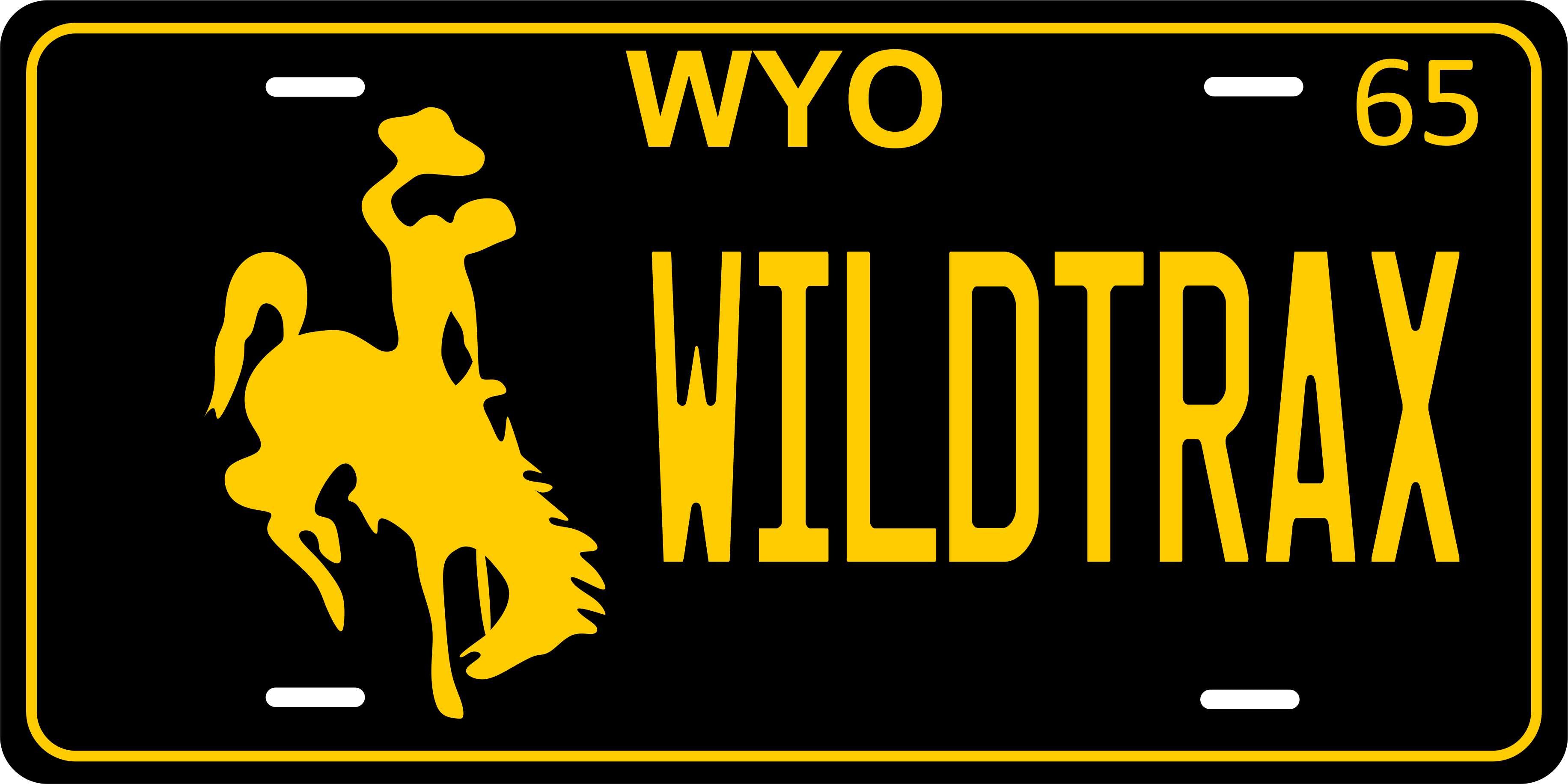 Wyoming 1965 License Plate Yellow personalized Novelty Fun Car Bike Motorcycle
