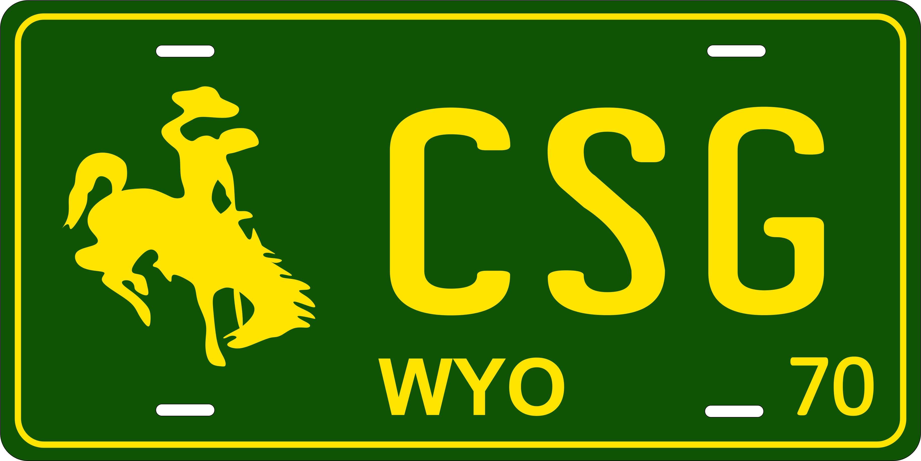 Wyoming 1970 License Plate Yellow personalized Novelty Fun Car Bike Motorcycle