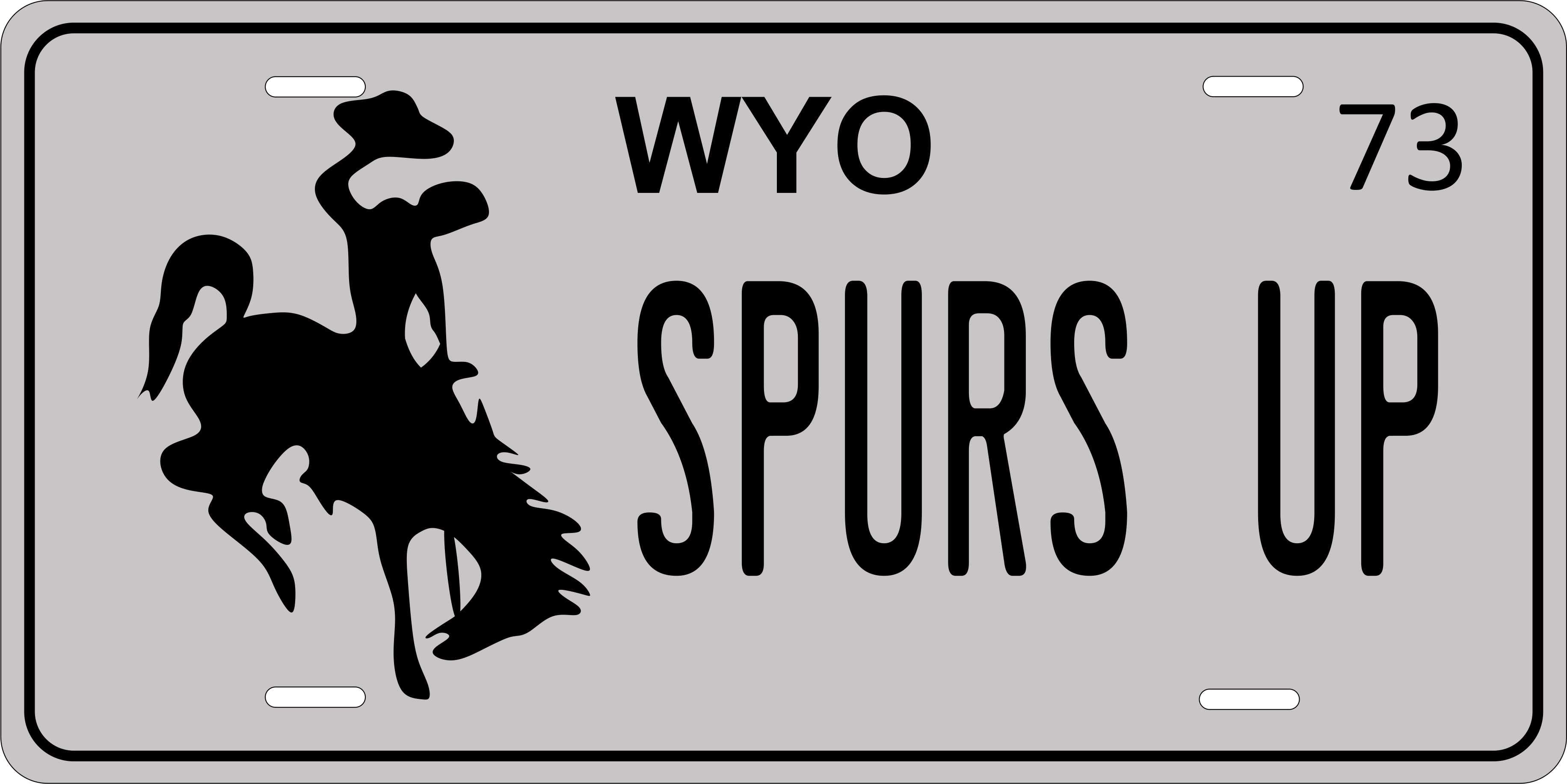 Wyoming 1973 License Plate Yellow personalized Novelty Fun Car Bike Motorcycle