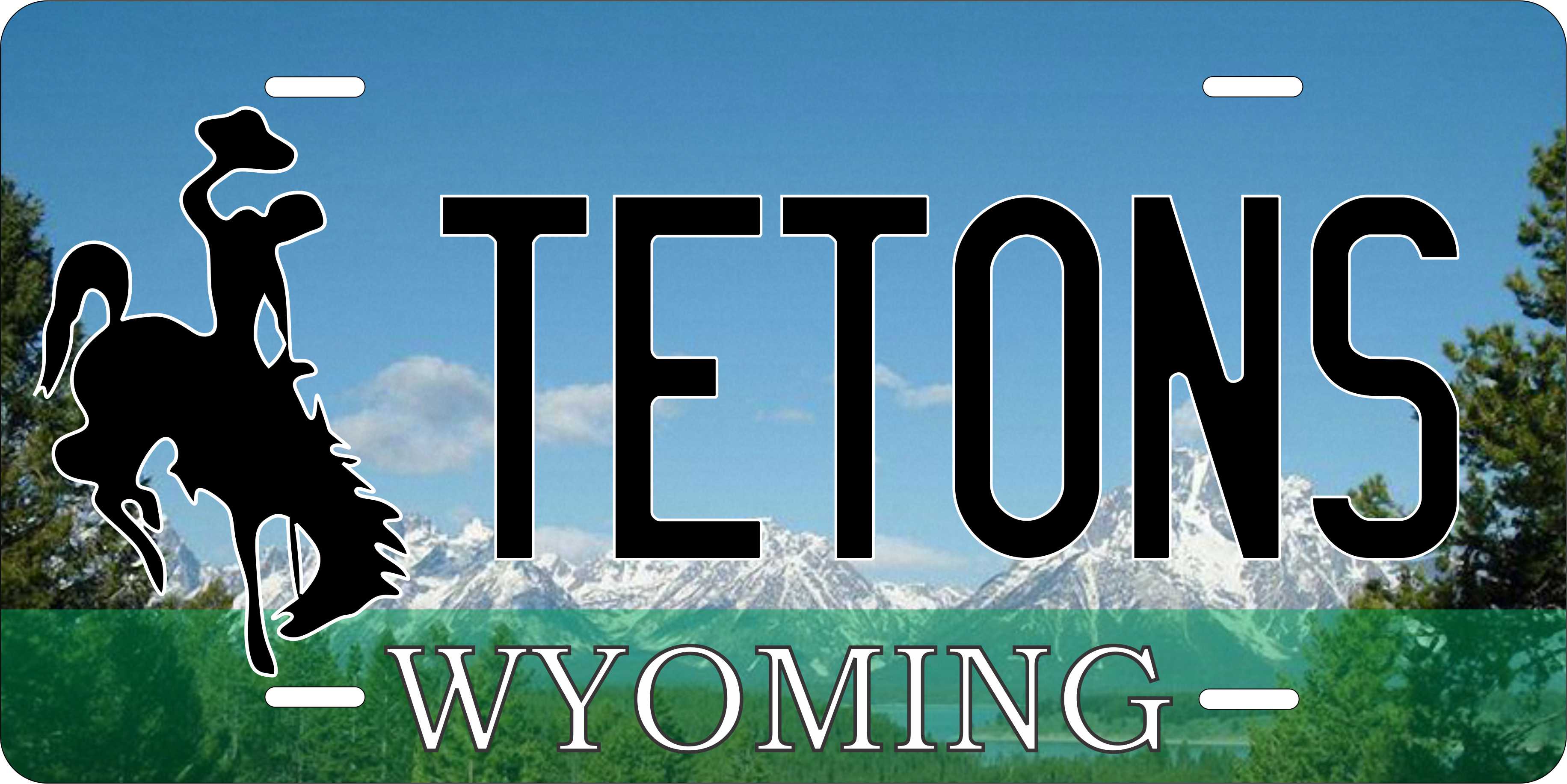 Wyoming Forest License Plate Yellow personalized Novelty Fun Car Bike Motorcycle