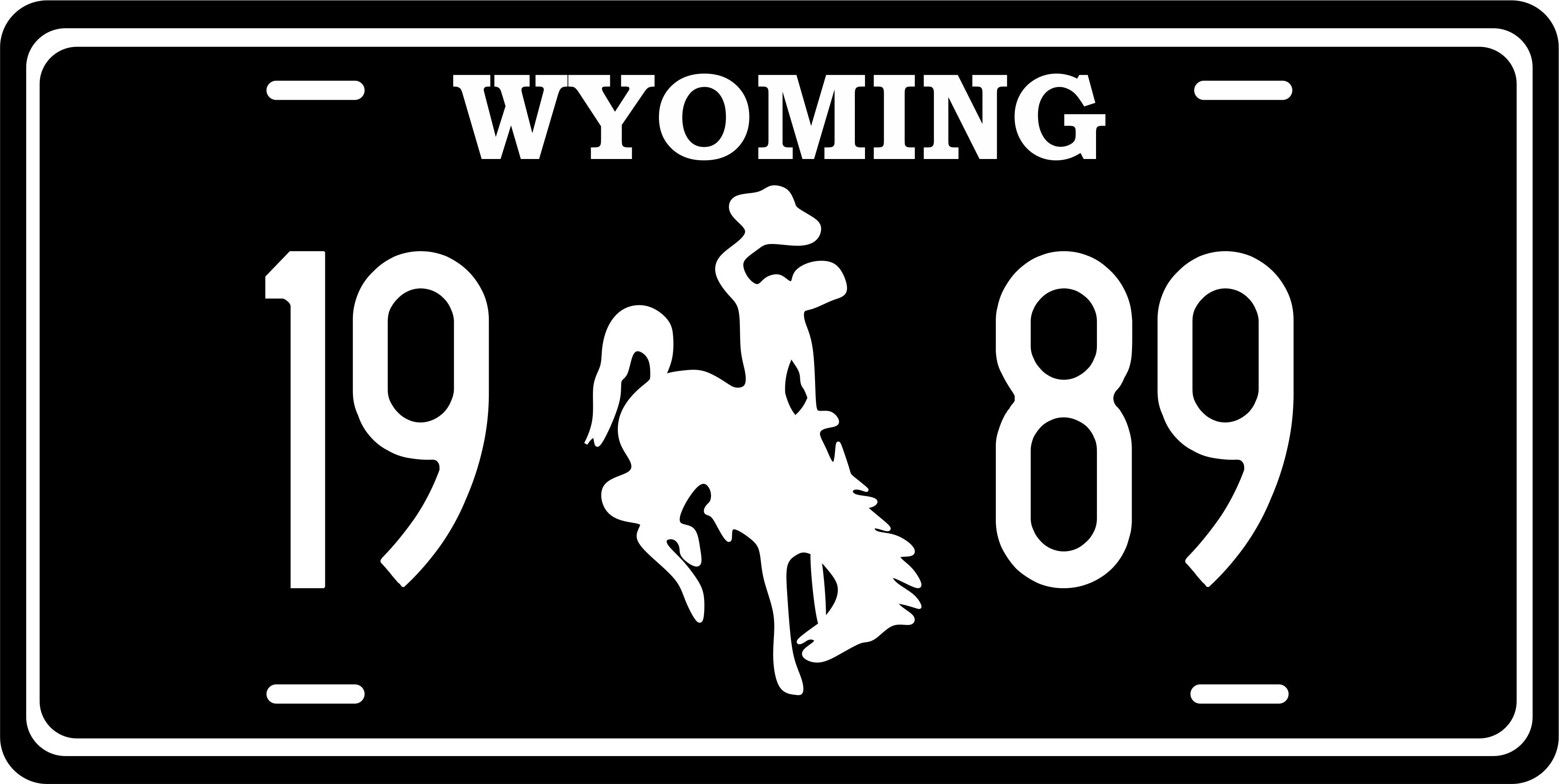 Wyoming black and White License Plate Custom Novelty Fun Car Bike Motorcycle