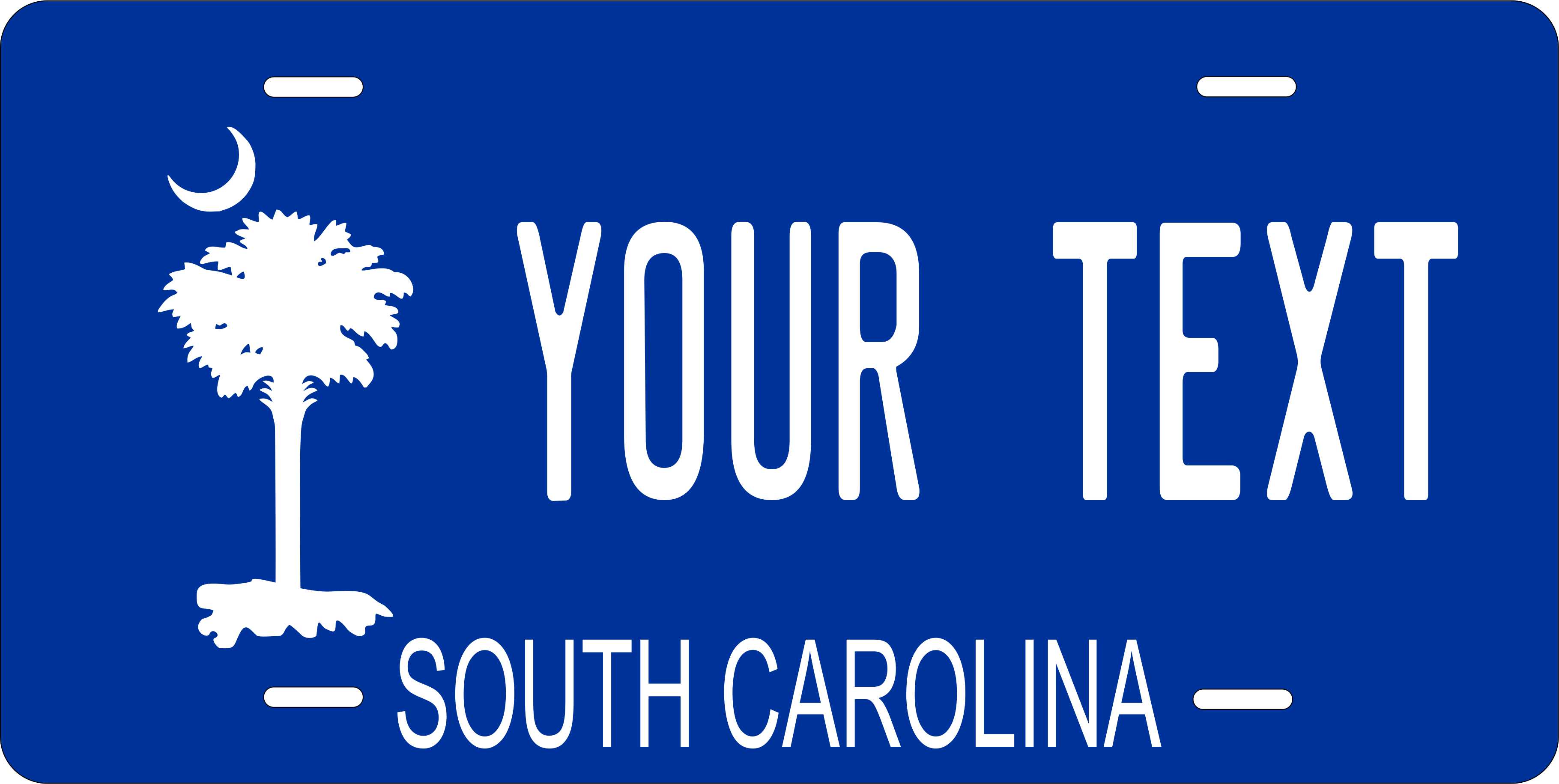 South Carolina Blue Background Photo Zone